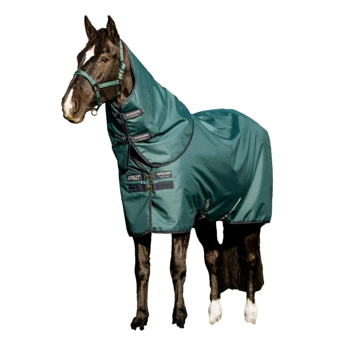 Couvre-cou pour cheval Imperméable Horseware Amigo® 150g