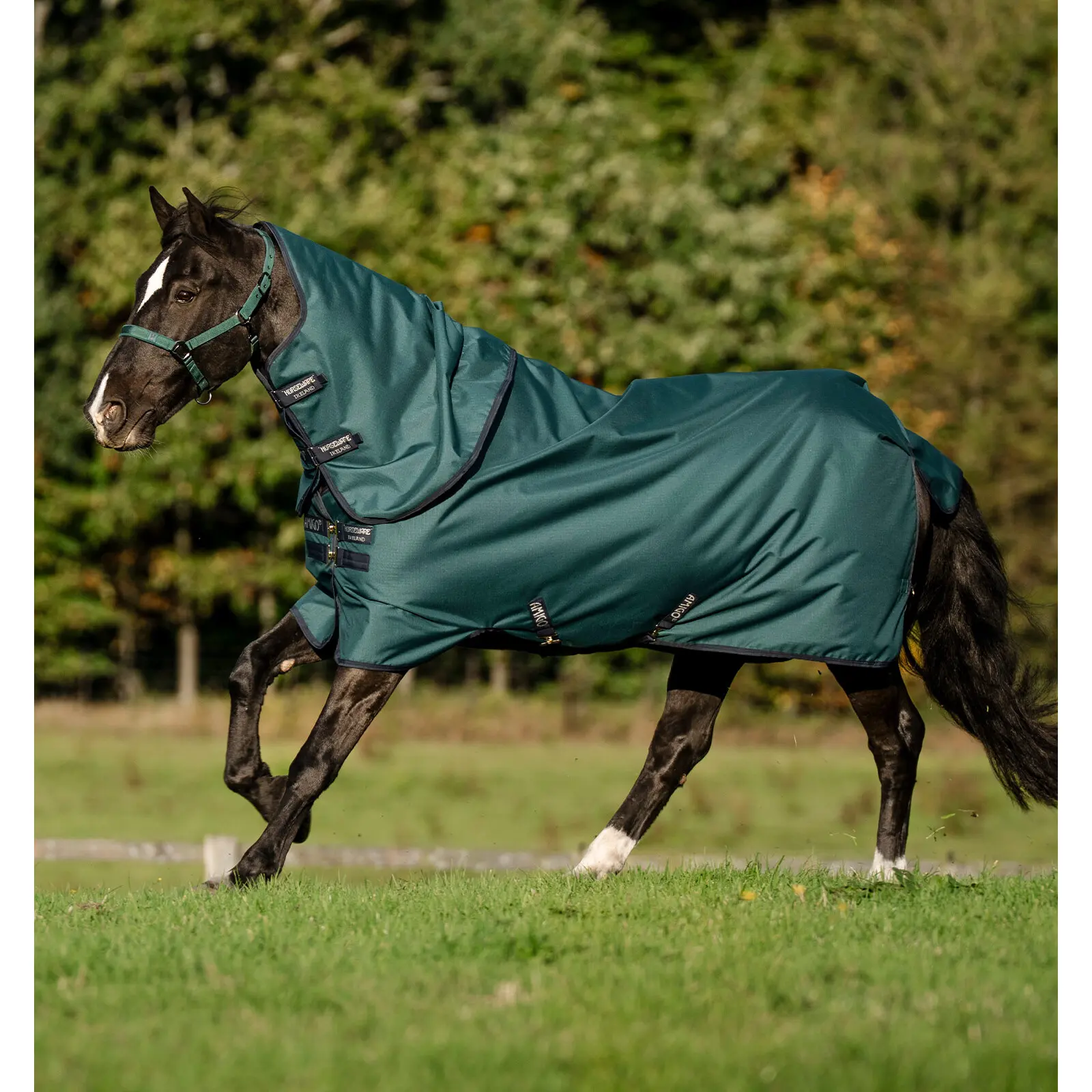 Couverture d'extérieur pour poney avec couvre-cou Horseware Amigo Ripstop 900D Plus 200g