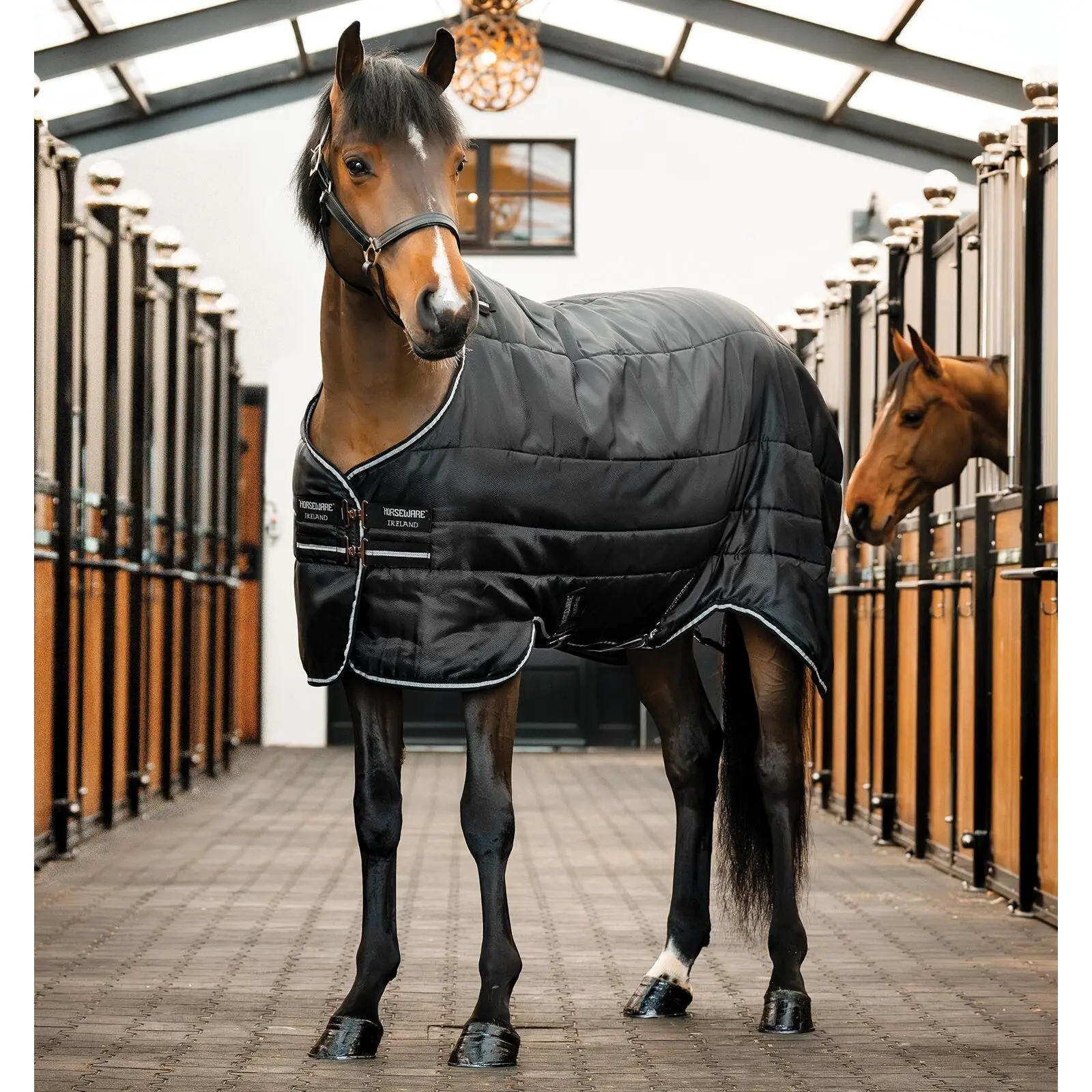 Meilleurs prix pour Couverture d'écurie pour poney Horseware Easy-Layer 100g