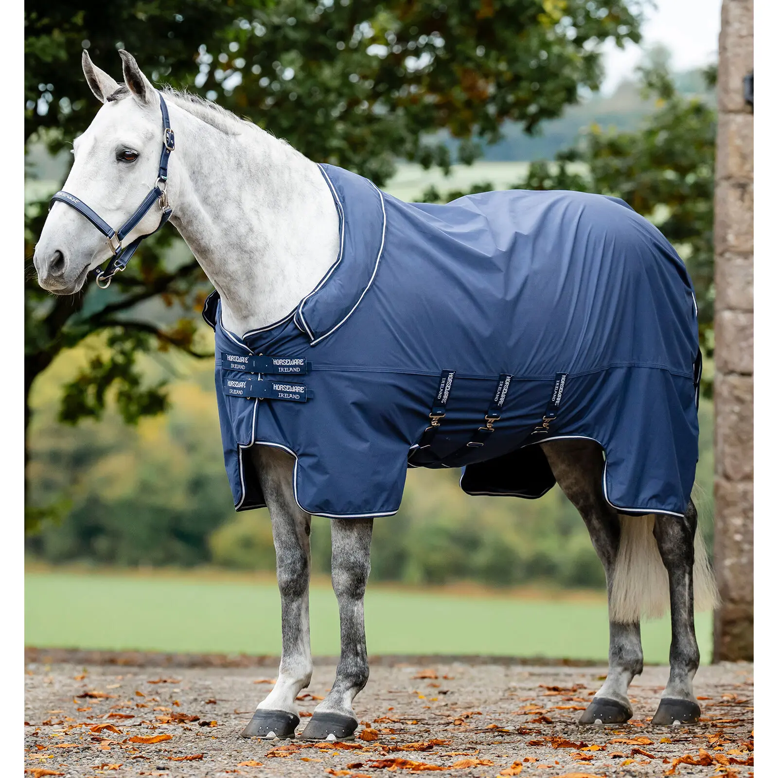 Couverture d'extérieur pour cheval Horseware Show Ready