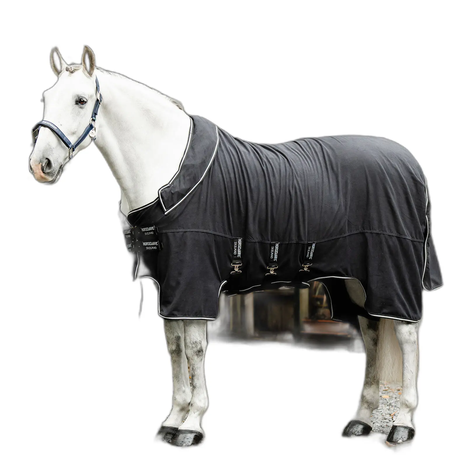 Couverture d'écurie pour cheval Horseware Show Ready