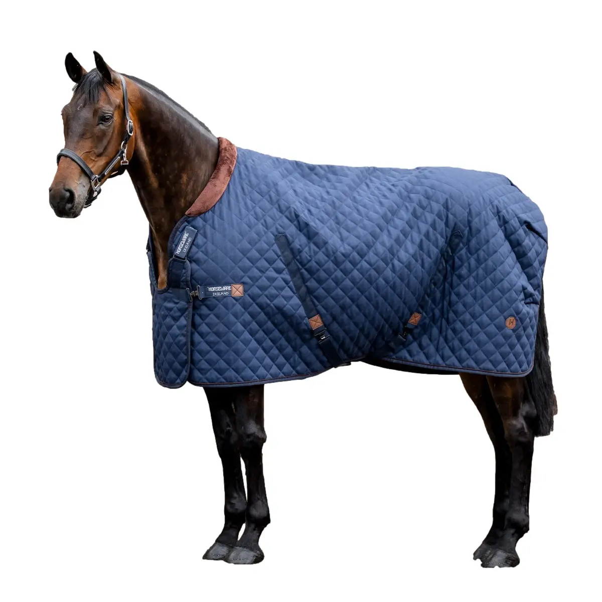 Couverture d'écurie pour cheval Horseware Signature 200g