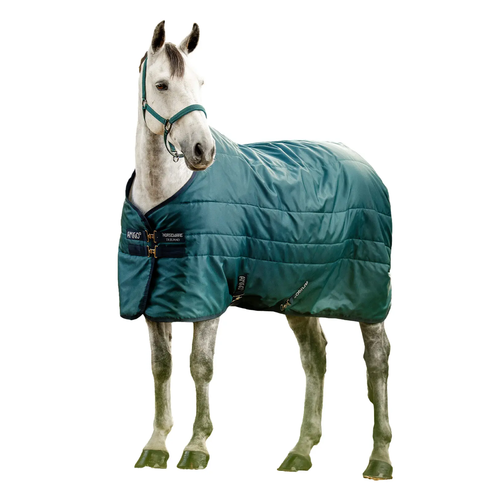 Couverture d'écurie pour cheval isolante Horseware Amigo® 350g