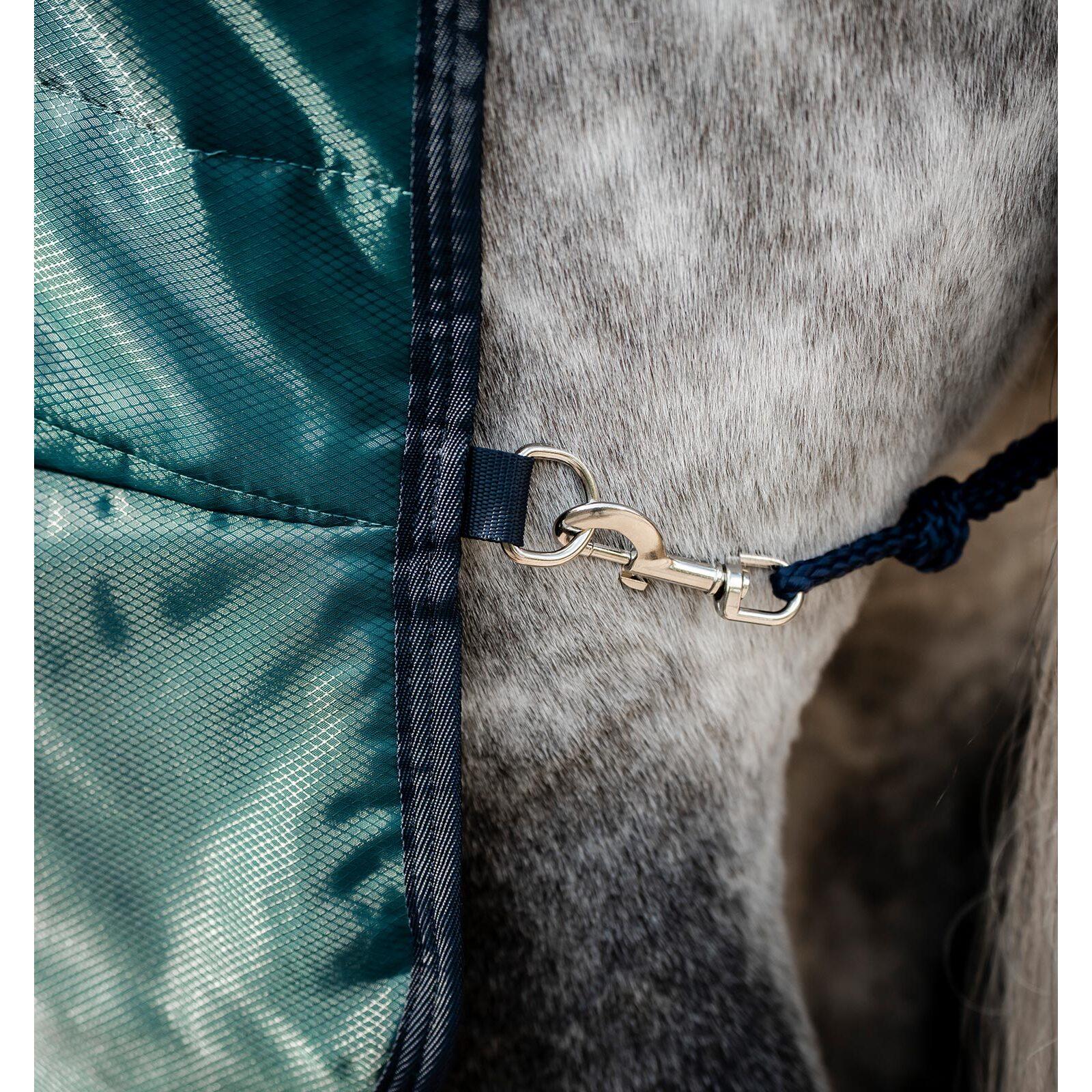 product/h/o/horseware-abrdm2-gbi0-66-dynasty-green-navy-silver-5.jpg