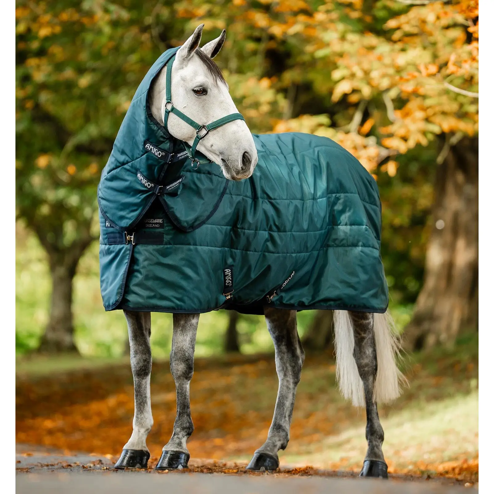 Stalldecke für Pferde Horseware Ripstop 200g