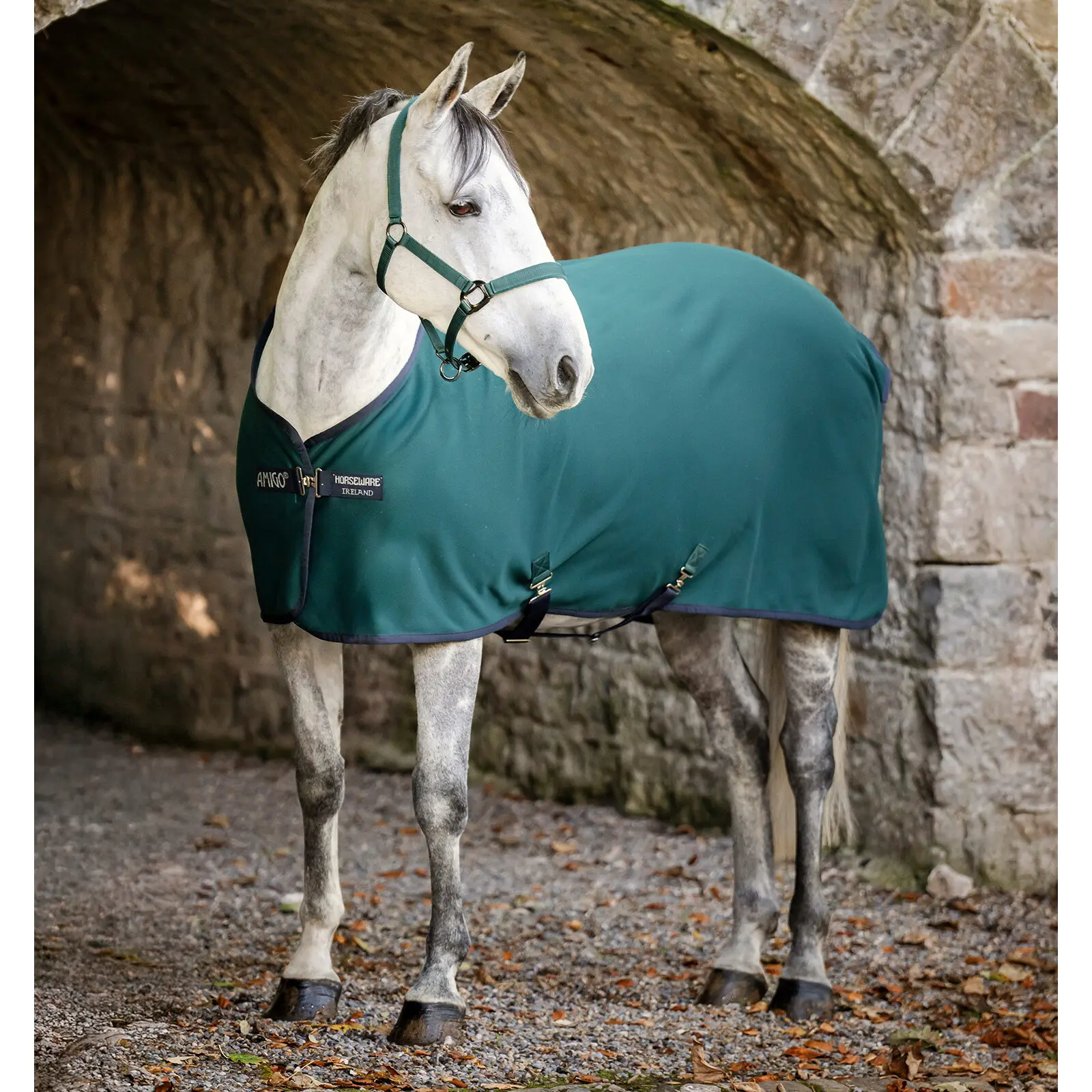 Meilleurs prix pour Couverture polaire pour cheval Horseware