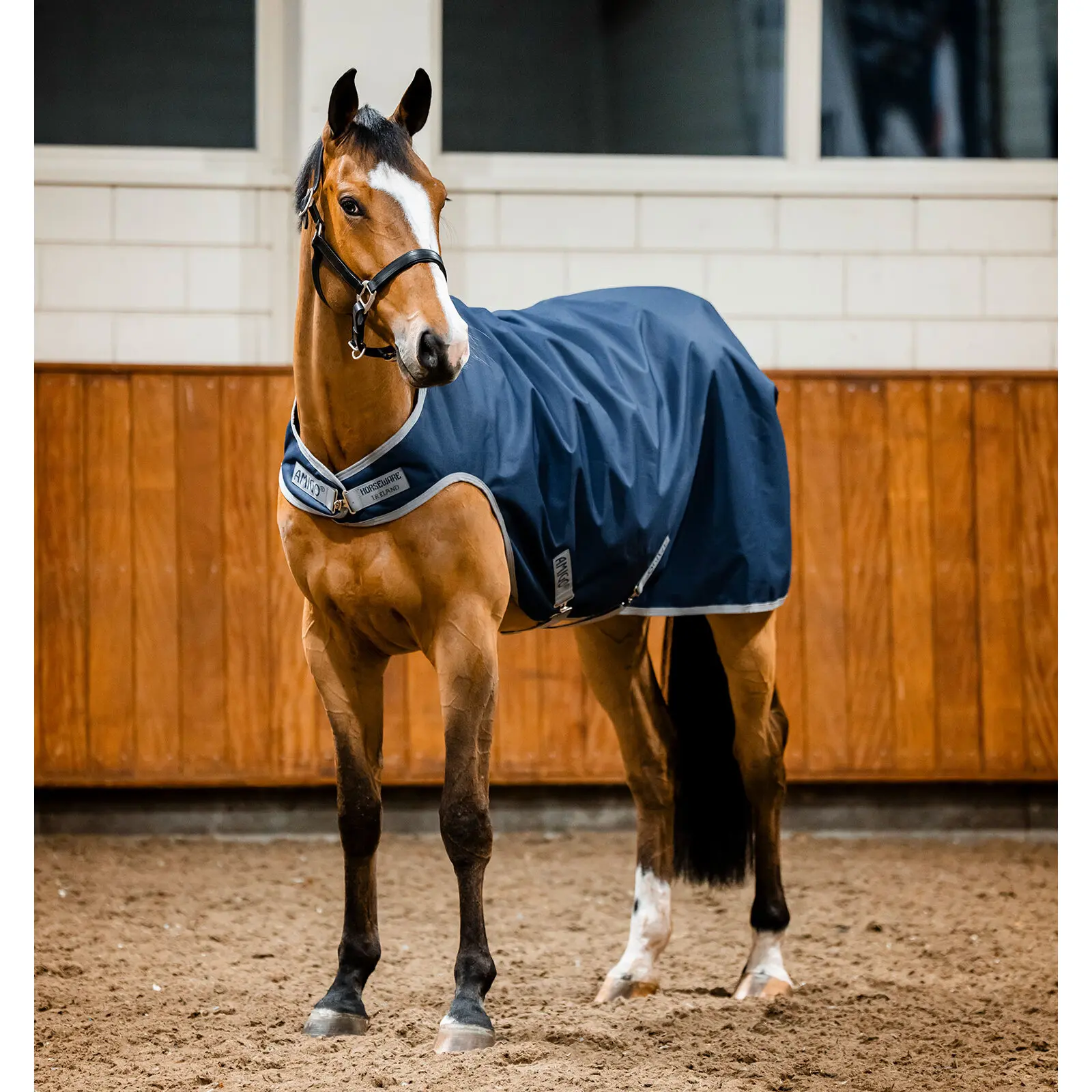 Comparer les prix de Couverture de marcheur pour cheval Amigo Walker 100g Horseware