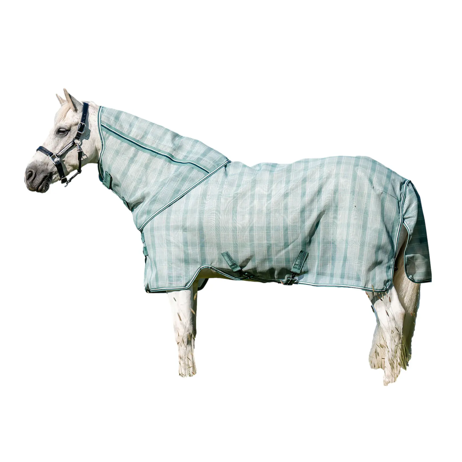 Couverture anti-mouches pour poney avec couvre-cou Horseware Newmarket Plus