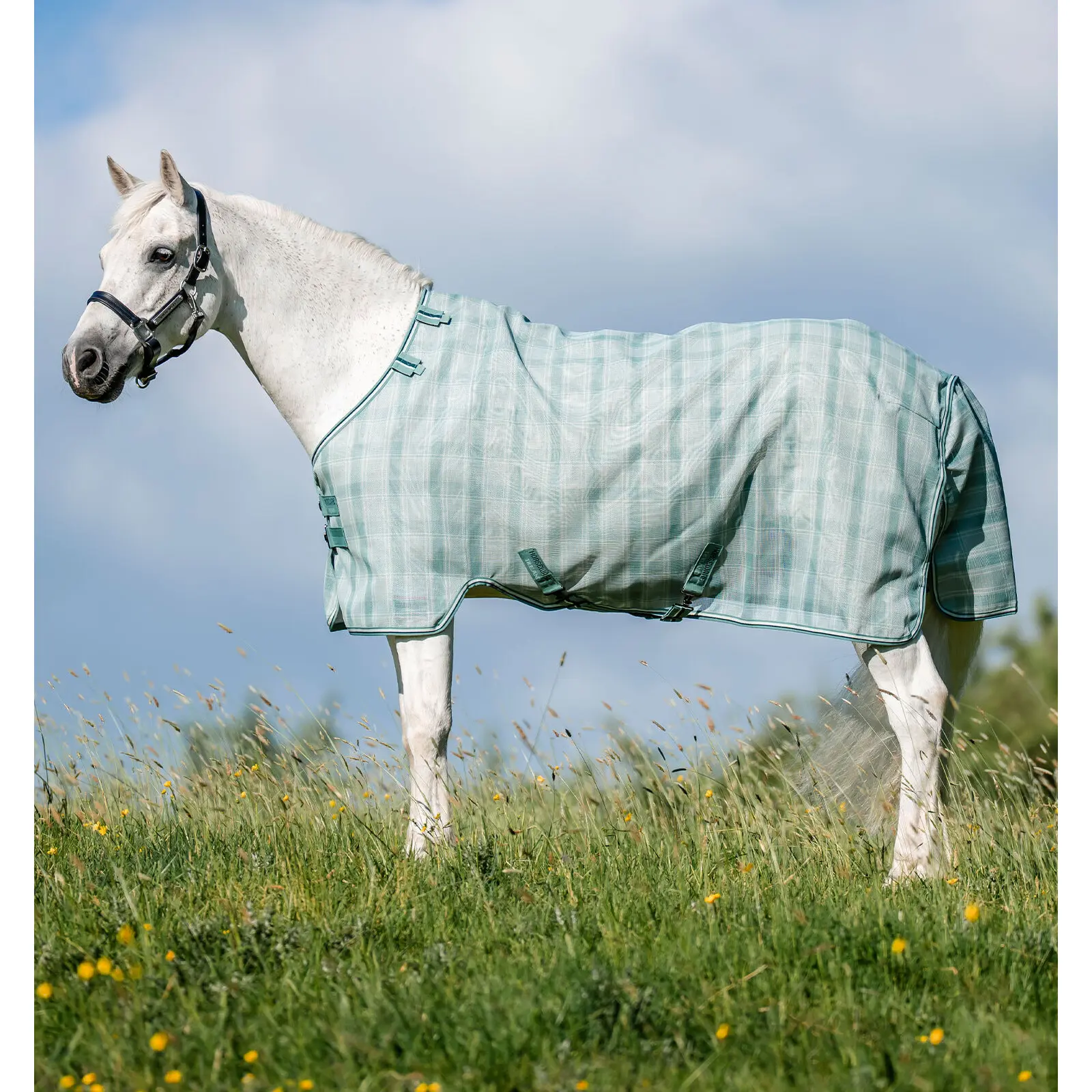 Couverture anti-mouches pour poney Horseware Newmarket
