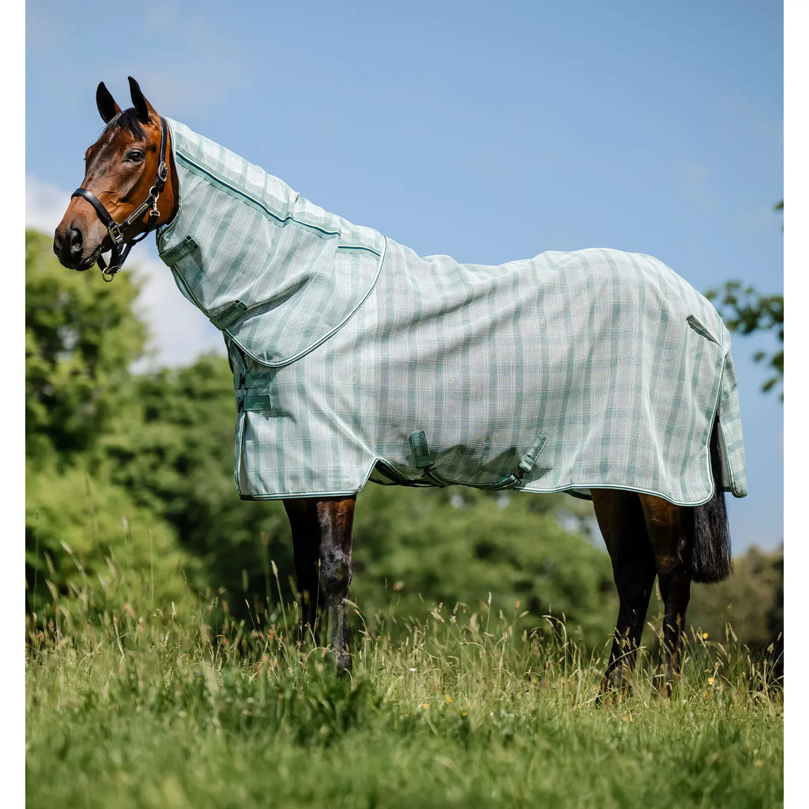 Couverture anti-mouches pour cheval avec couvre-cou Horseware Newmarket Plus