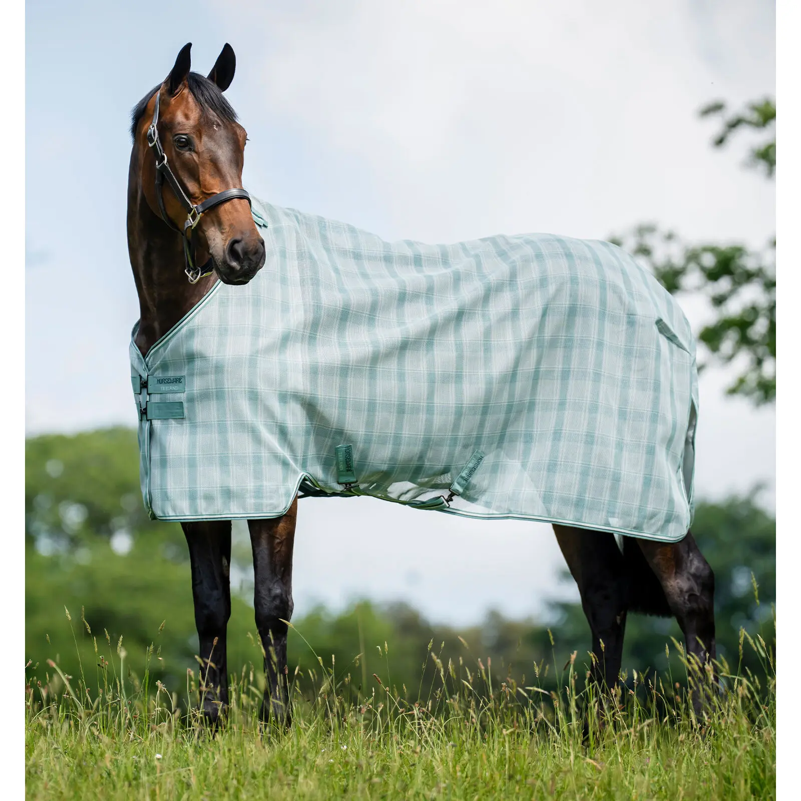 Couverture anti-mouches pour cheval Horseware Newmarket