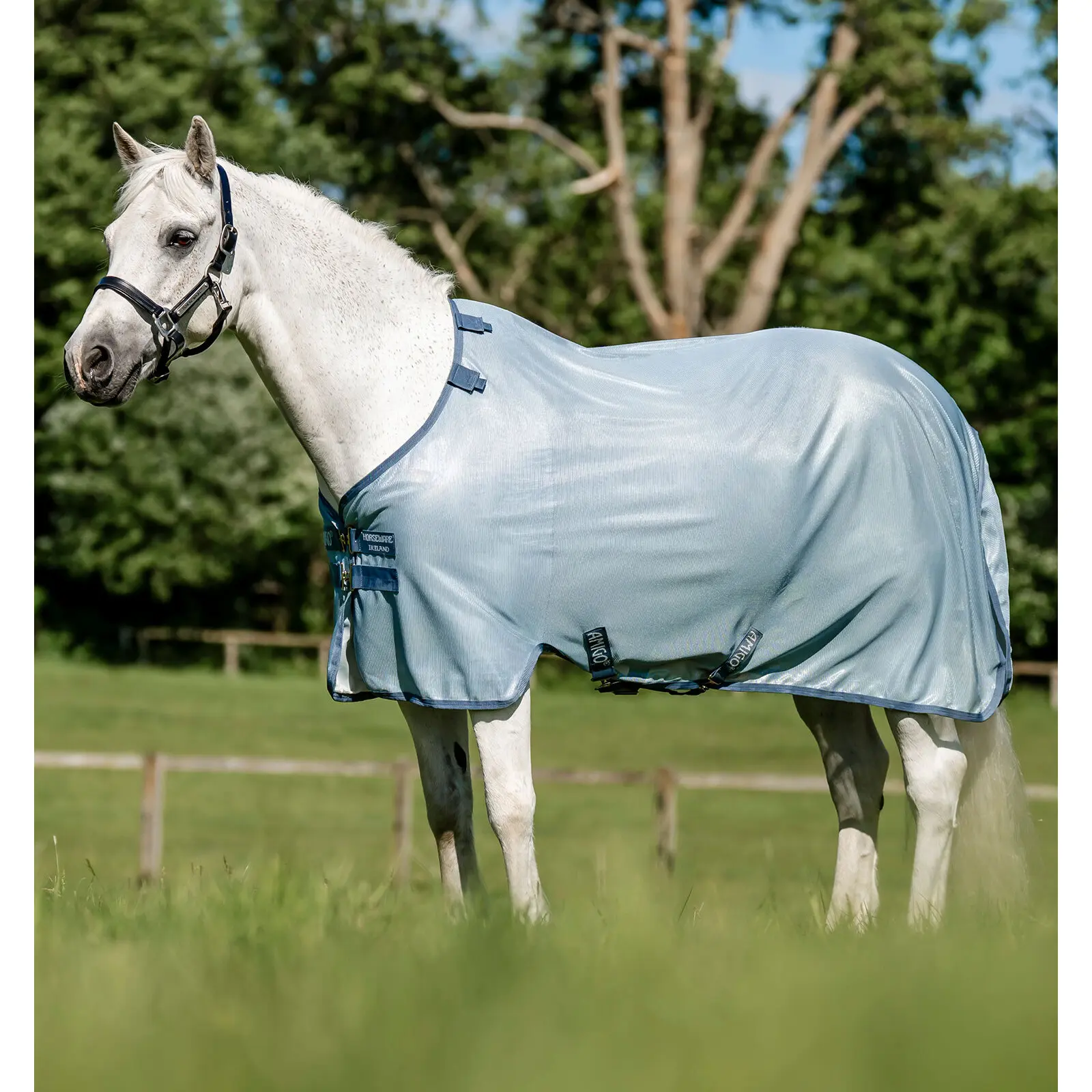 Couverture anti-mouches pour poney Amigo Bug Rug