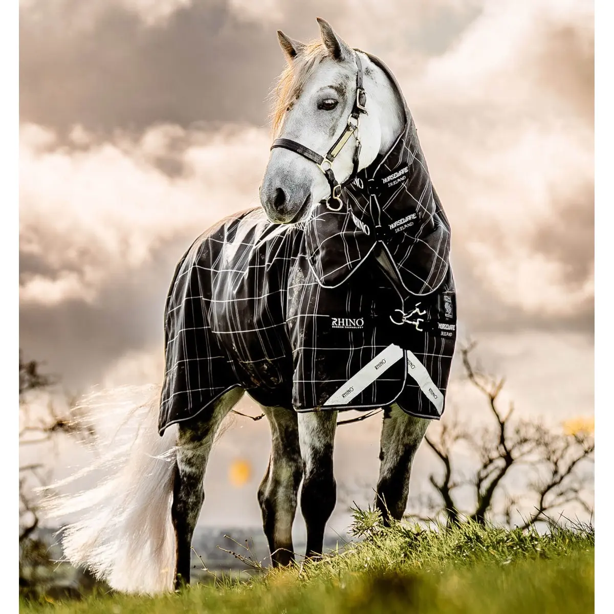 Comparer les prix de Couverture d'extérieur pour cheval Horseware Plus 200g