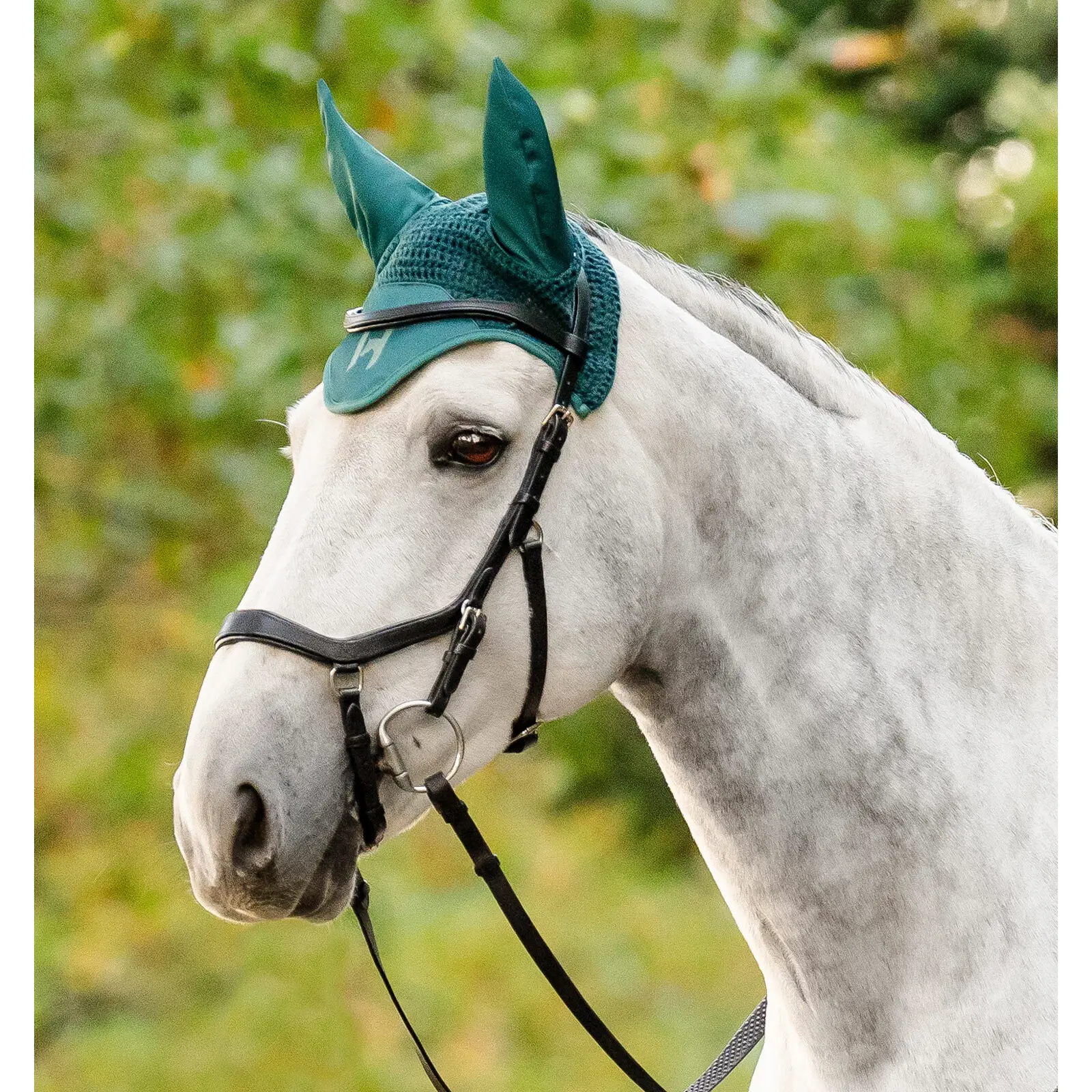 Comparer les prix de Bonnet pour cheval court Horseware
