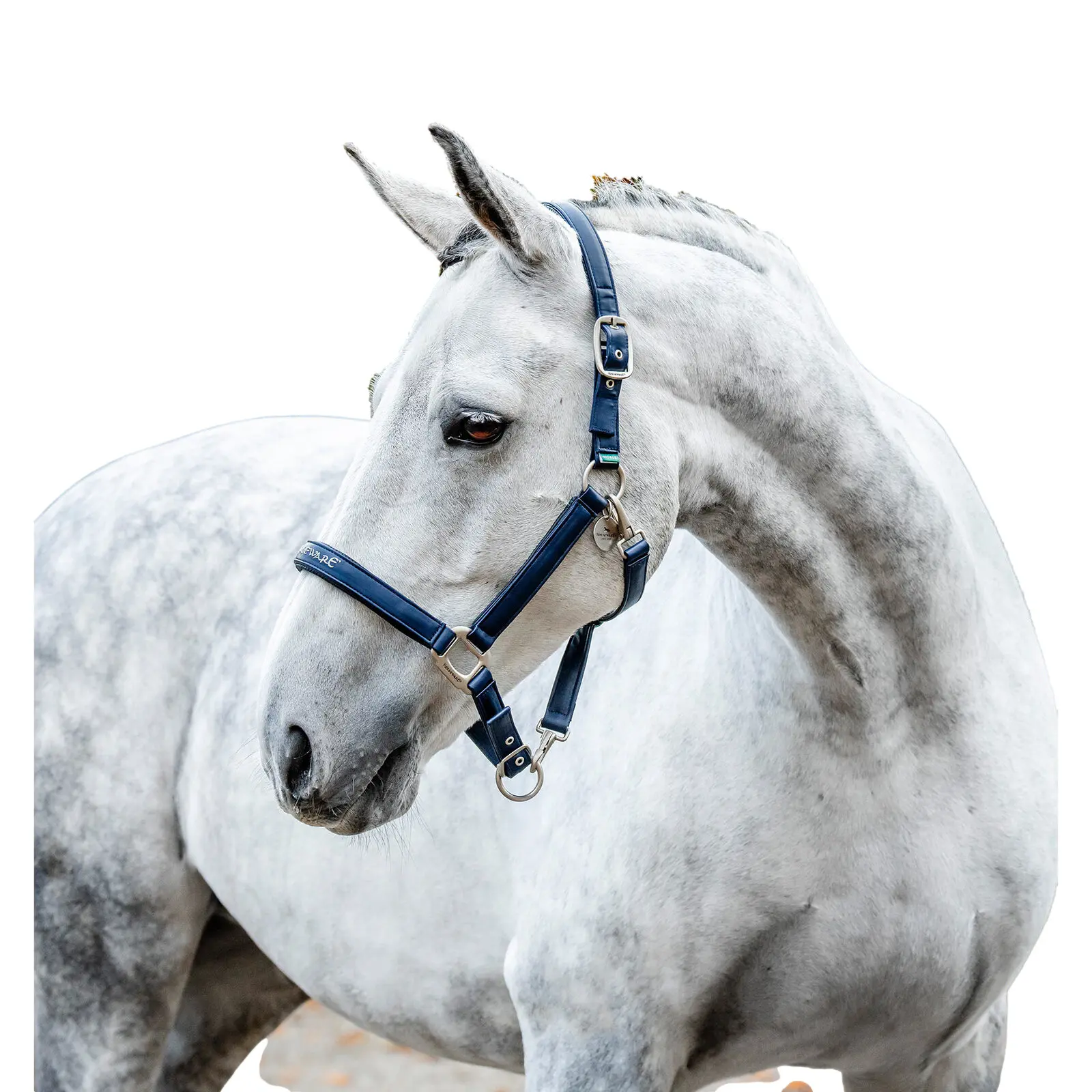 Licol pour cheval de pansage Horseware