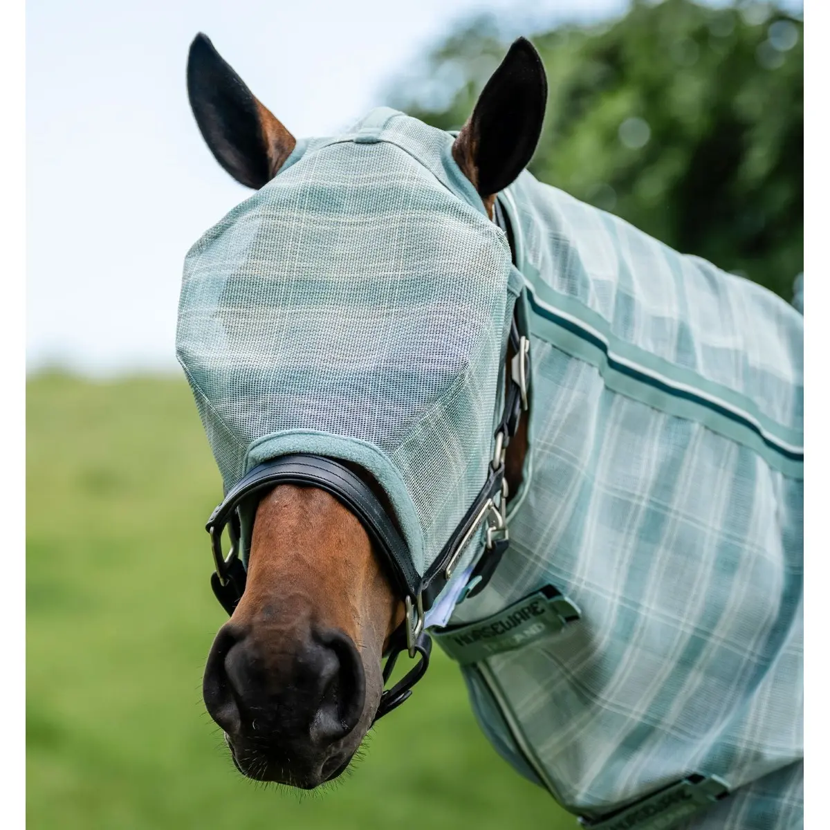 Fliegenmaske für Pferde ohne Ohren Horseware Newmarket