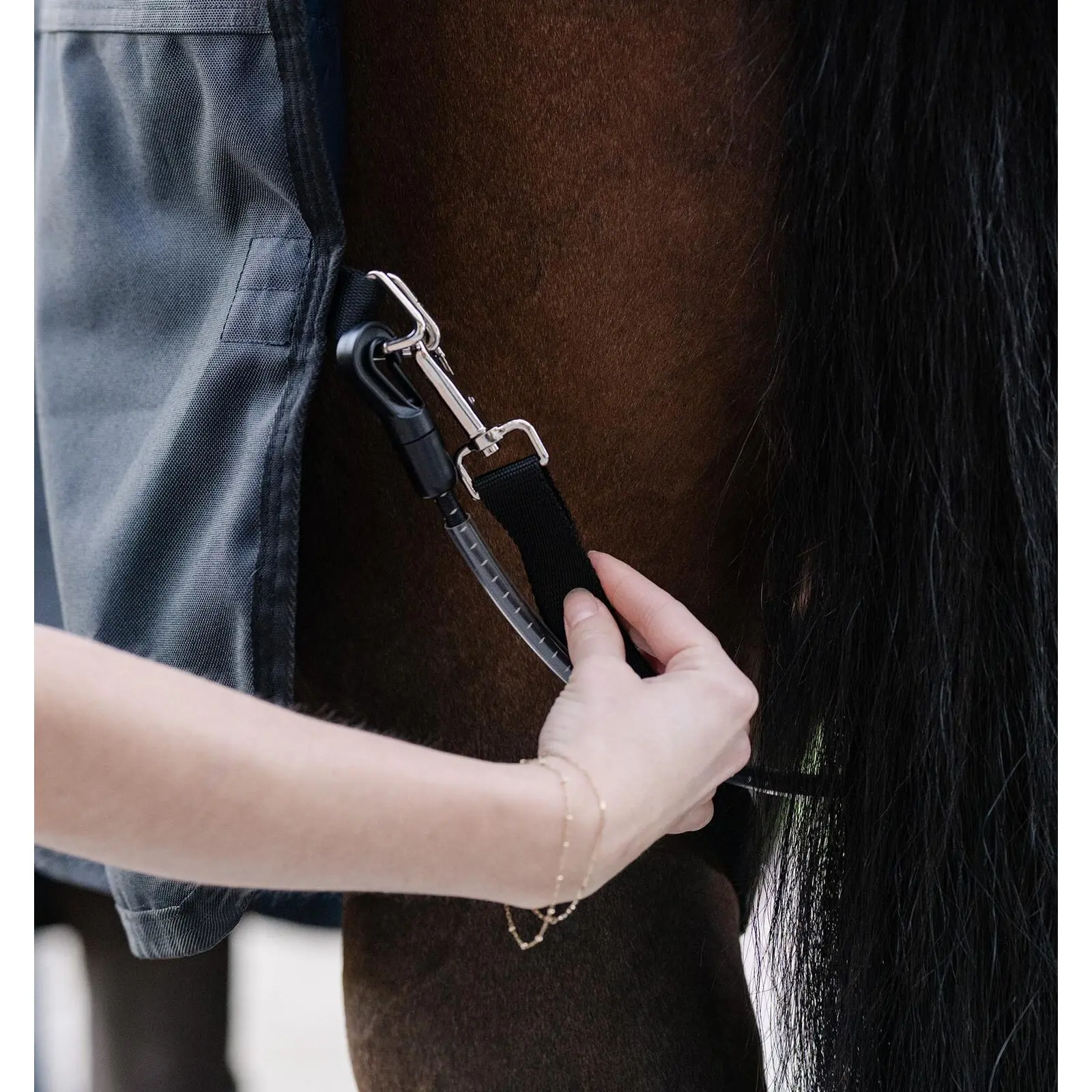 Sangle pour cheval Horseware