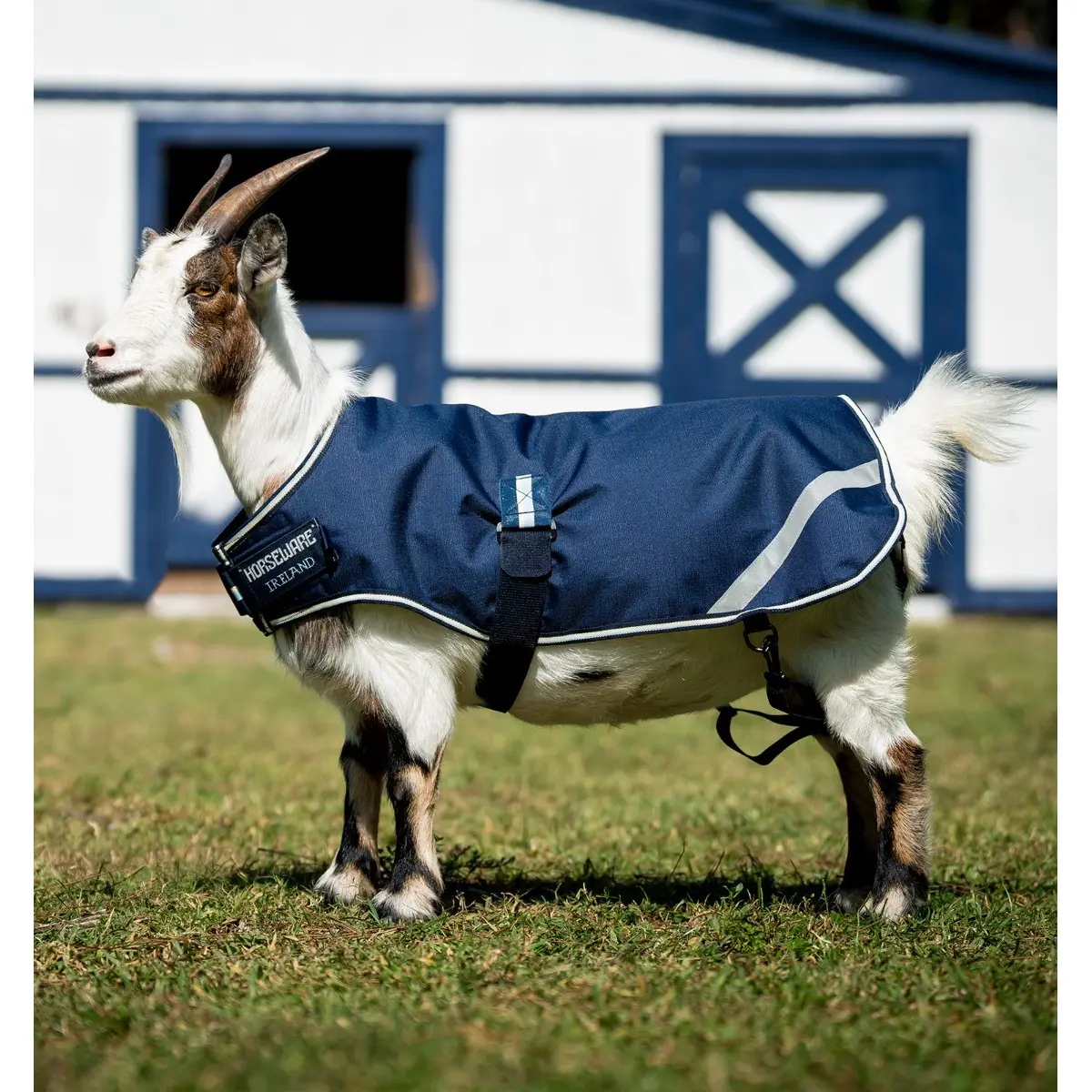 Comparer les prix de Couverture pour chèvre Horseware 100g