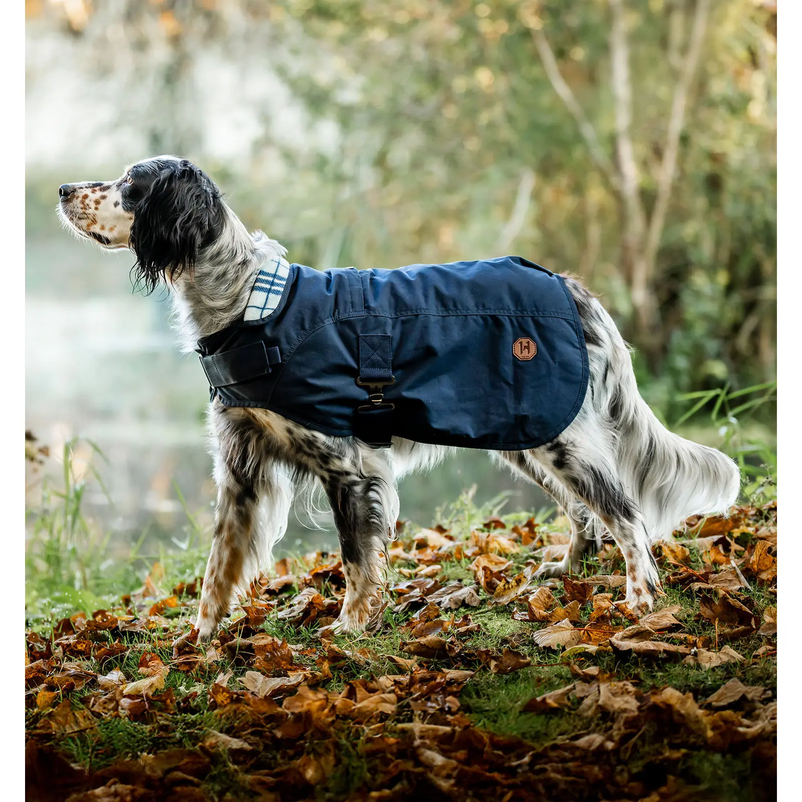 Comparer les prix de Manteau pour chien Horseware Newmarket Heritage