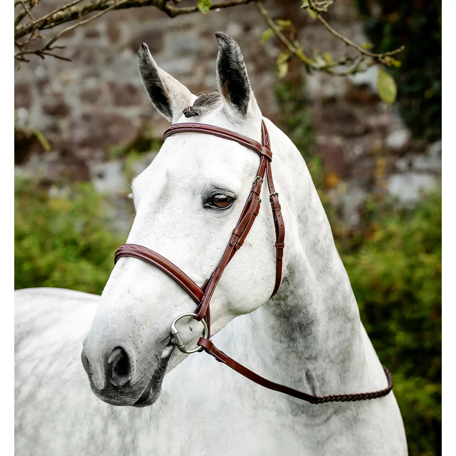 Bride équitation avec rênes Horseware Hunter
