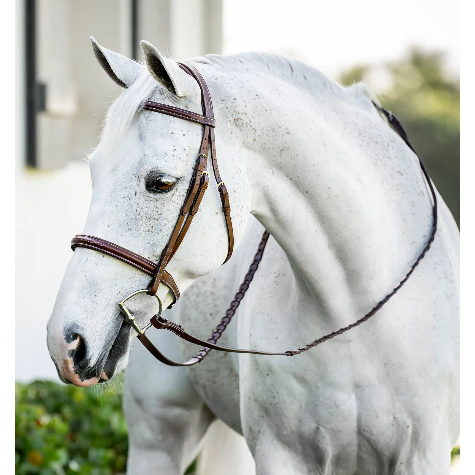 Horseware Marron Riding Bridle Hunter