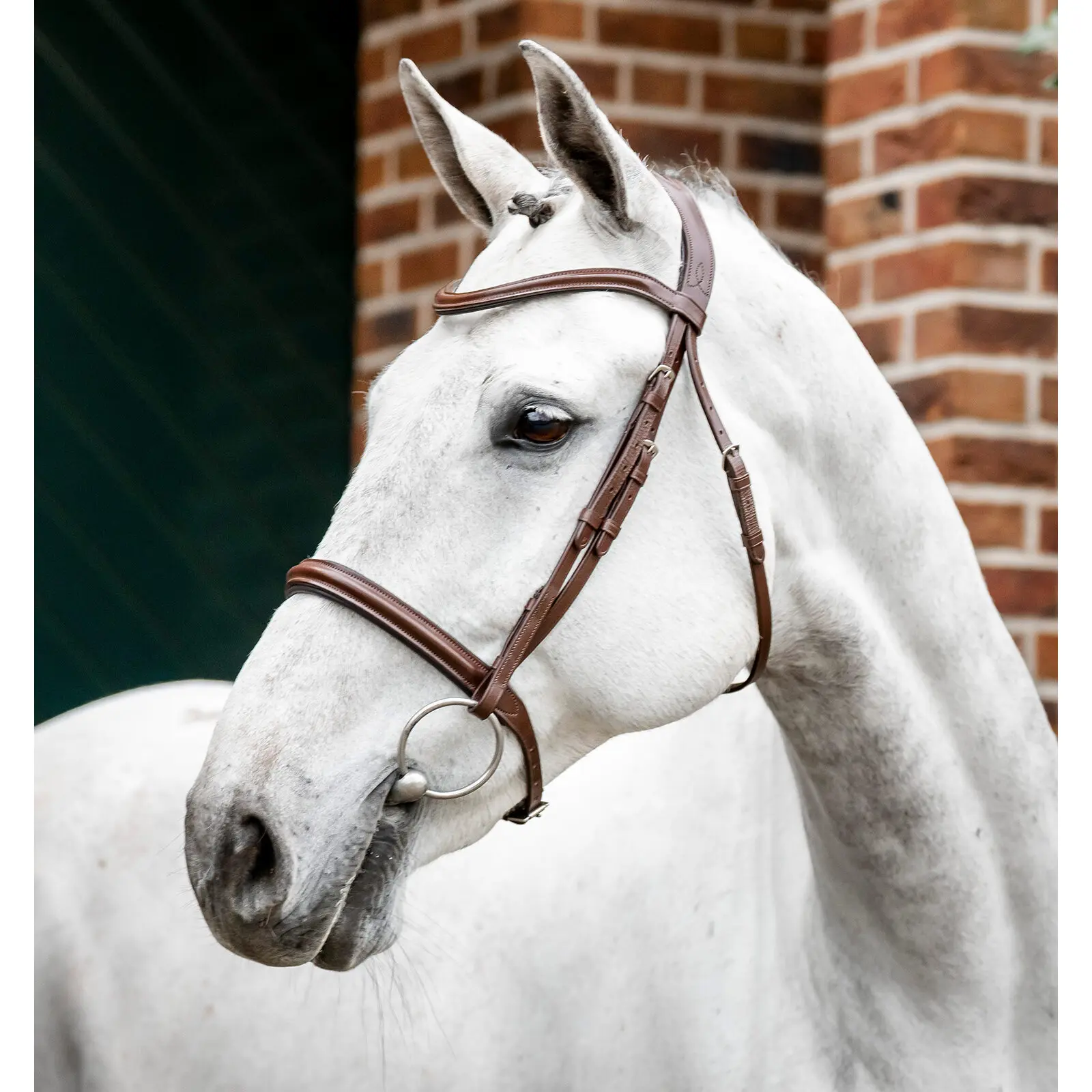Bride équitation Horseware