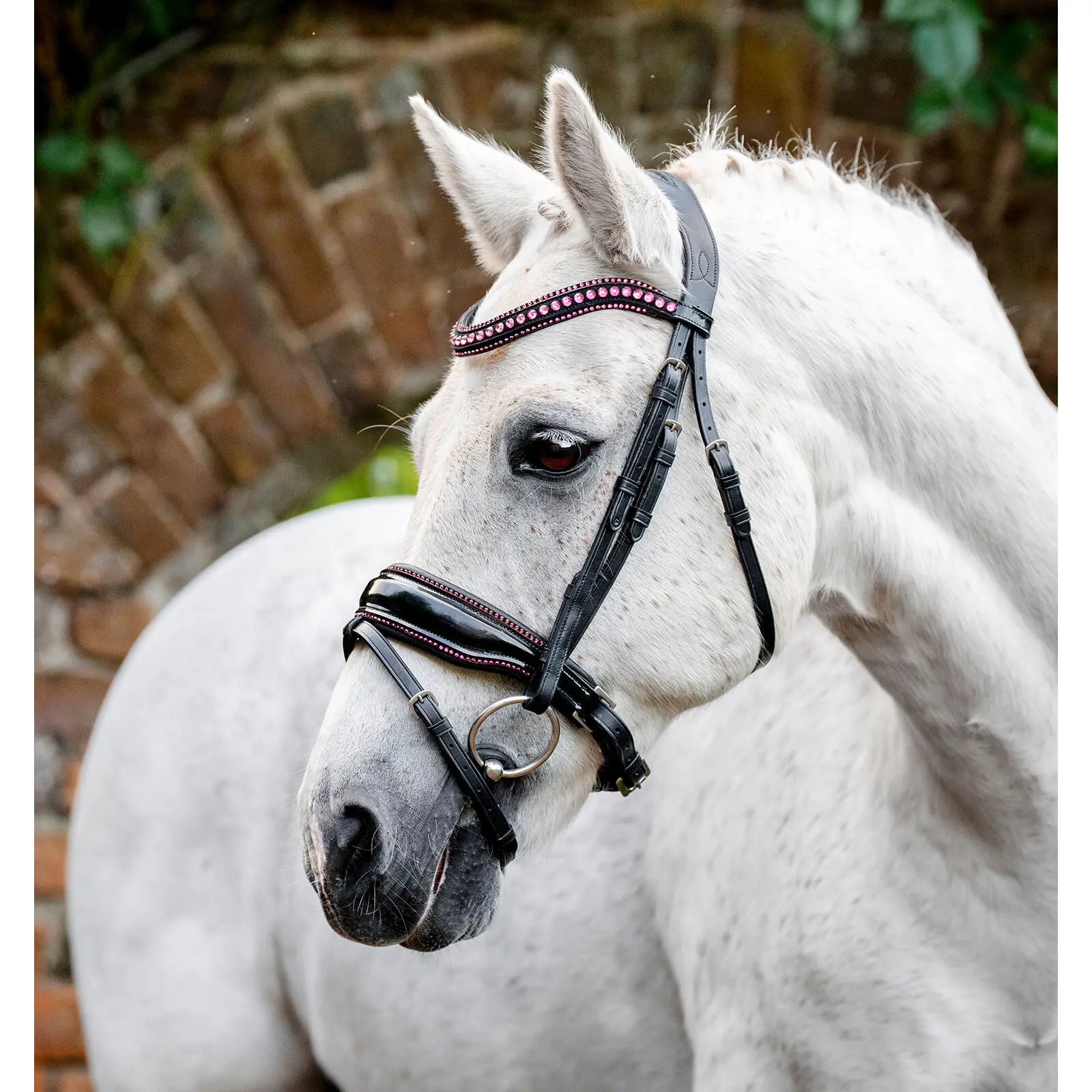 Meilleurs prix pour Bride équitation Horseware Diamante