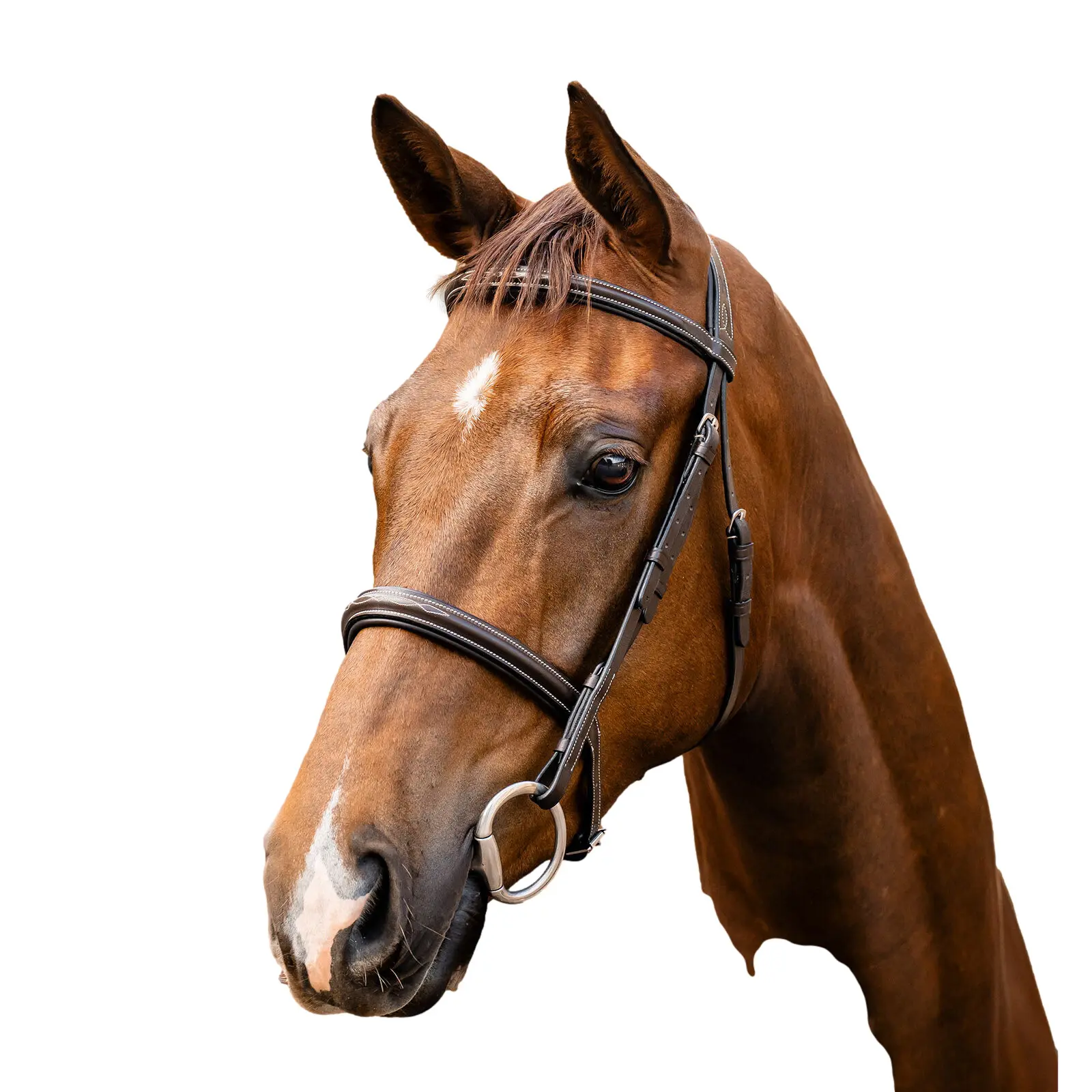 Bridon d'équitation en cuir Horseware Hunter