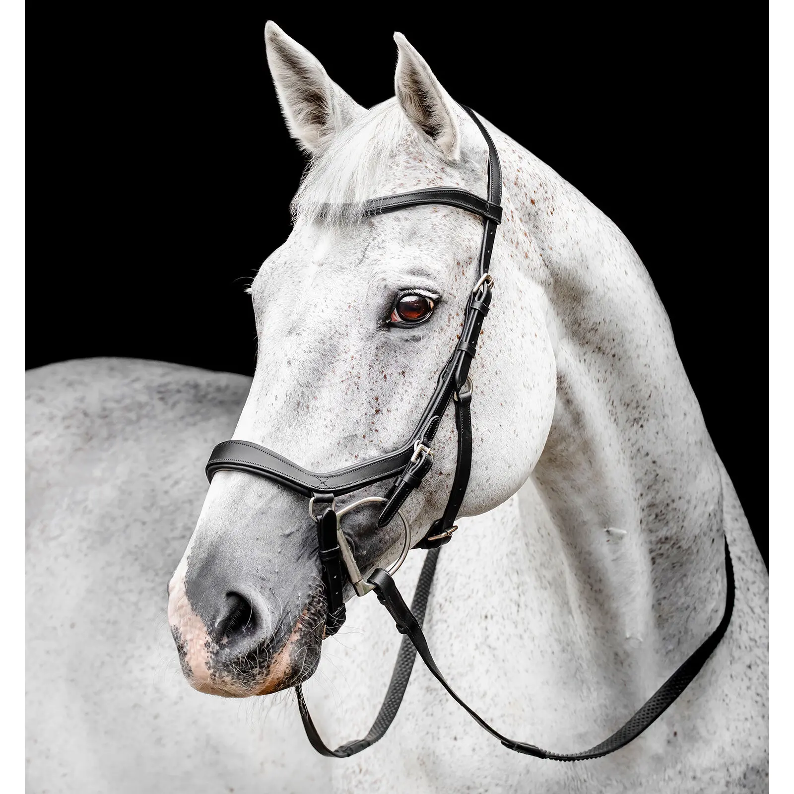 Horseware Noir Riding Bridle Micklem