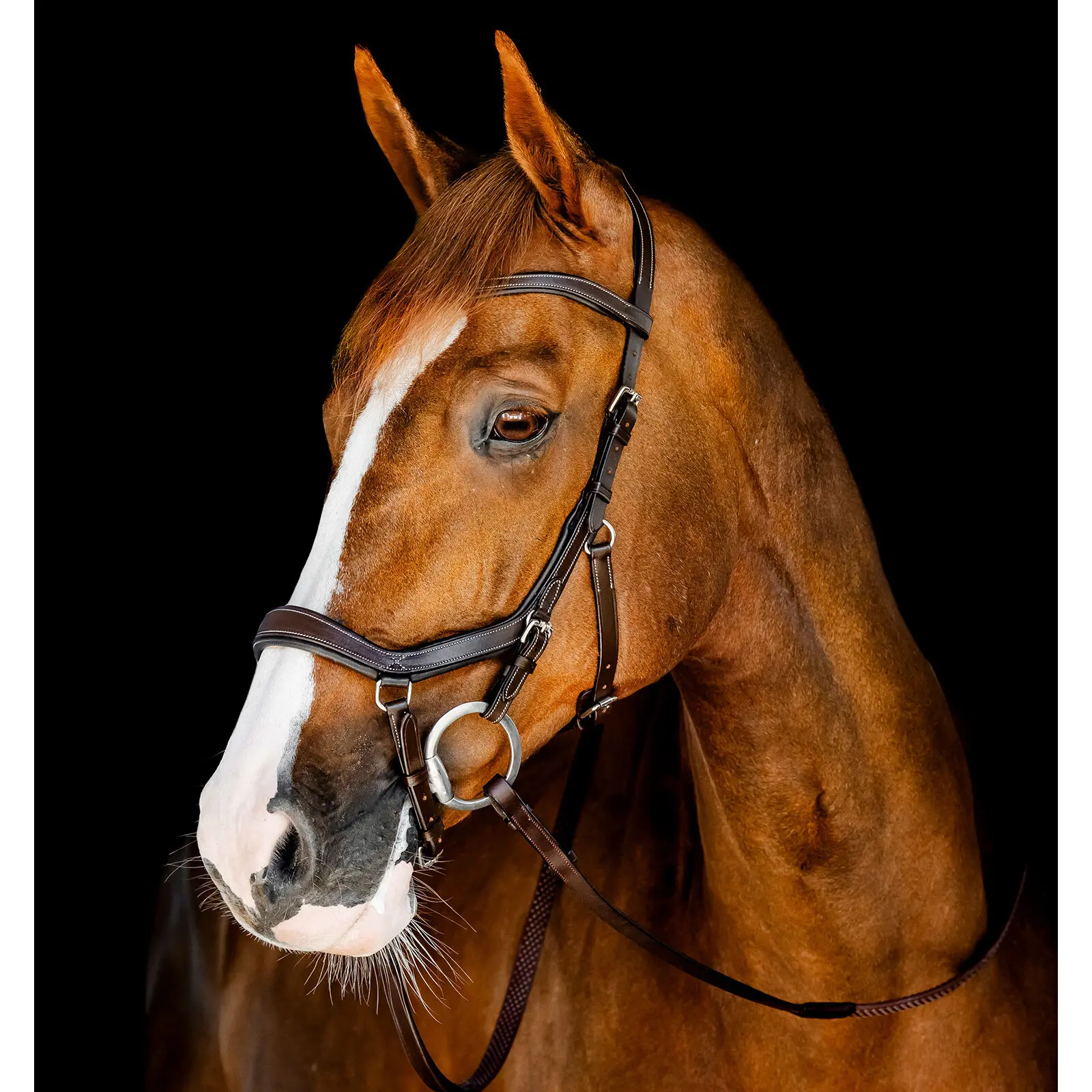 Horseware Marron Riding Bridle Micklem
