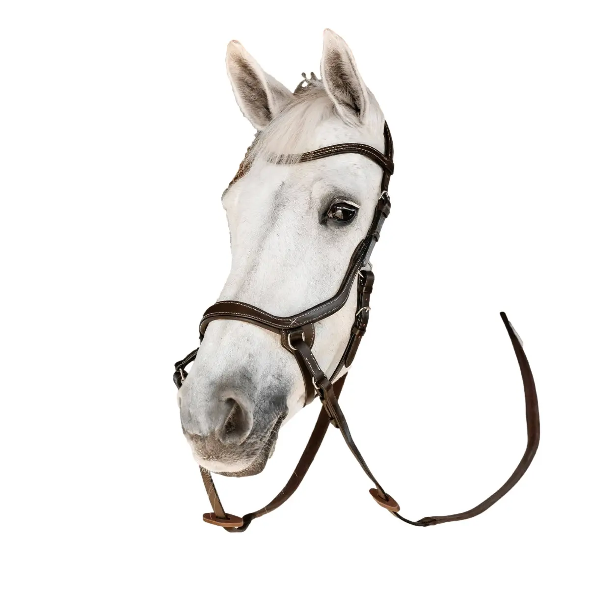Bridon sans mors pour cheval Horseware Micklem