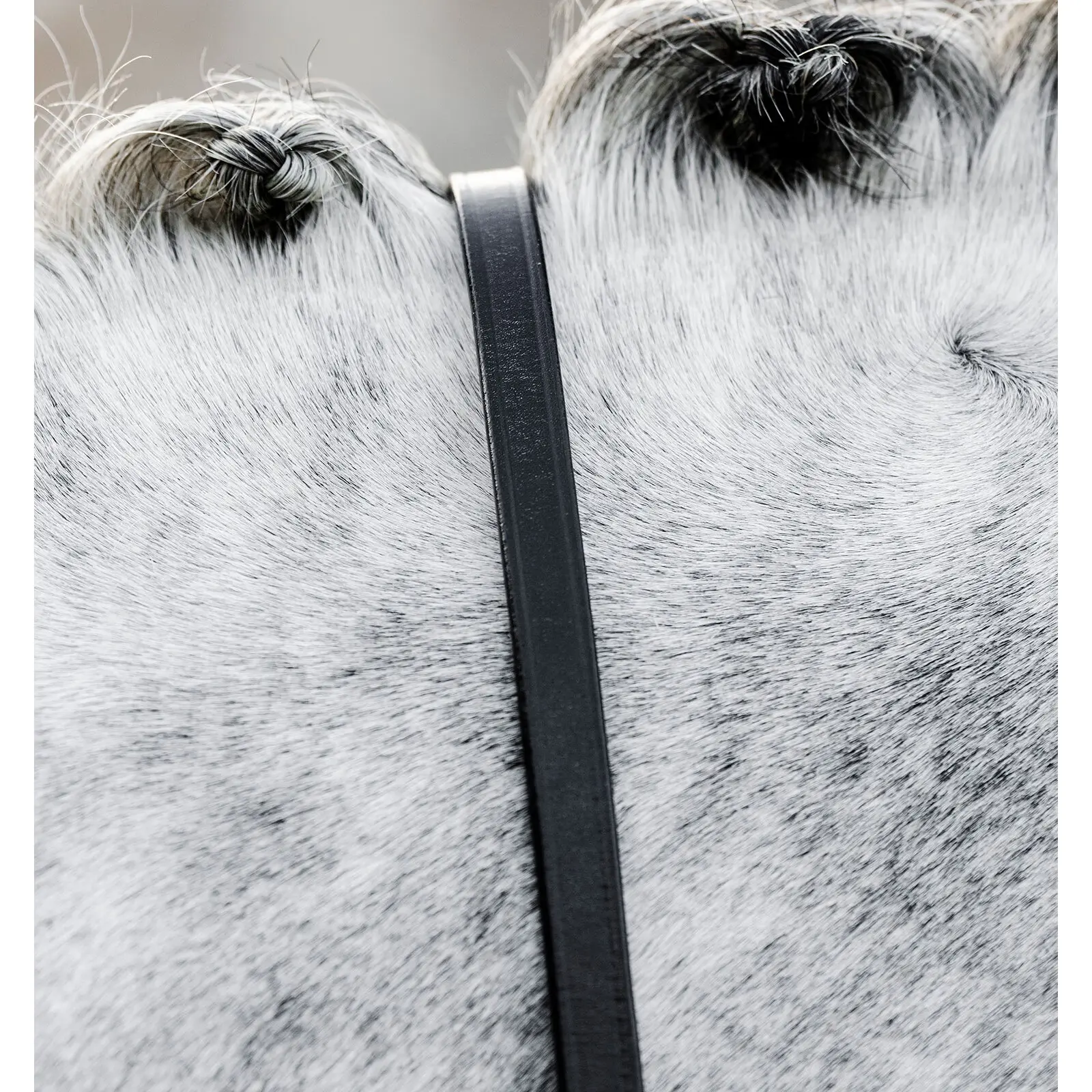 Horseware Noir Reins For Horses