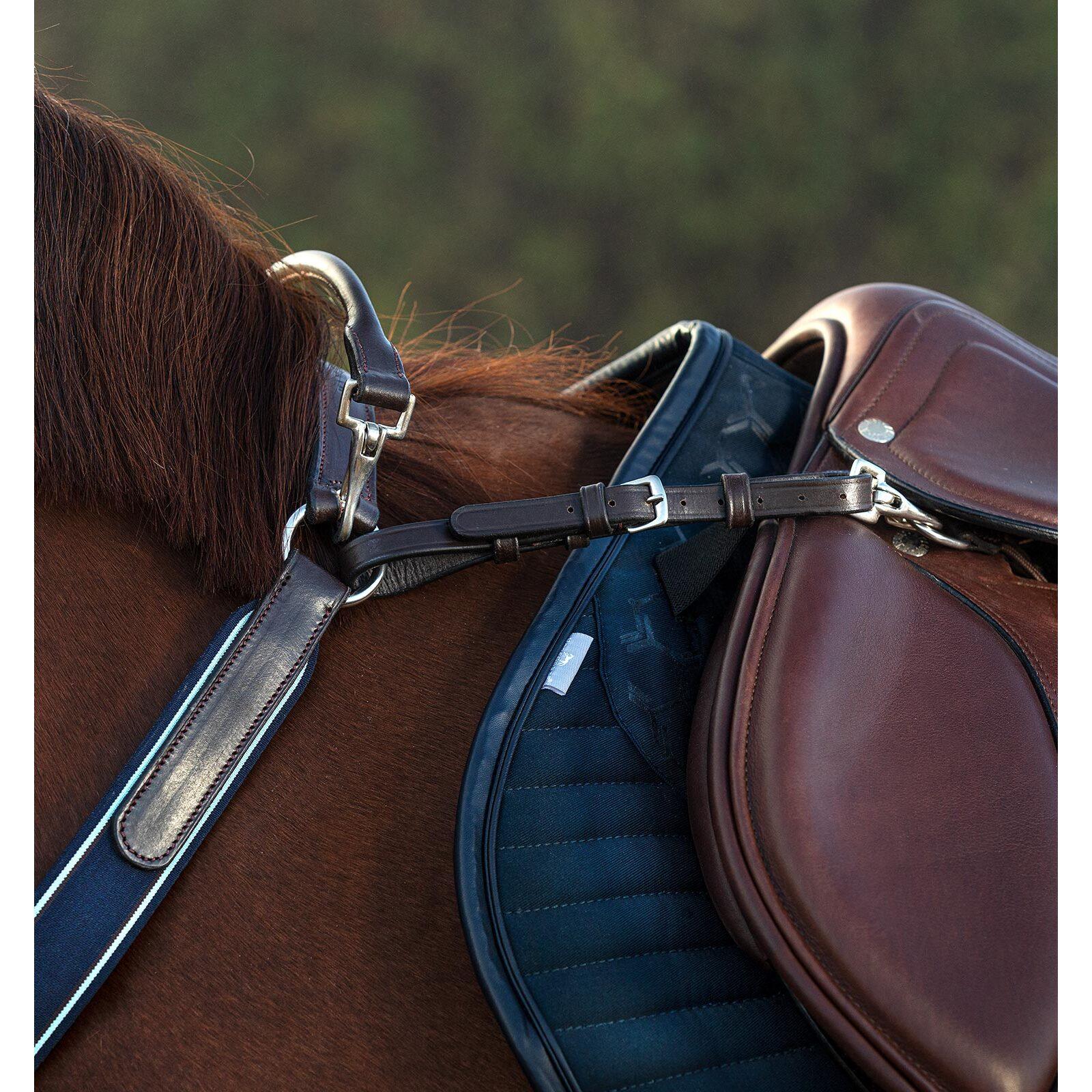 product/h/o/horseware-scmdn1-n000-co-brown-2.jpg