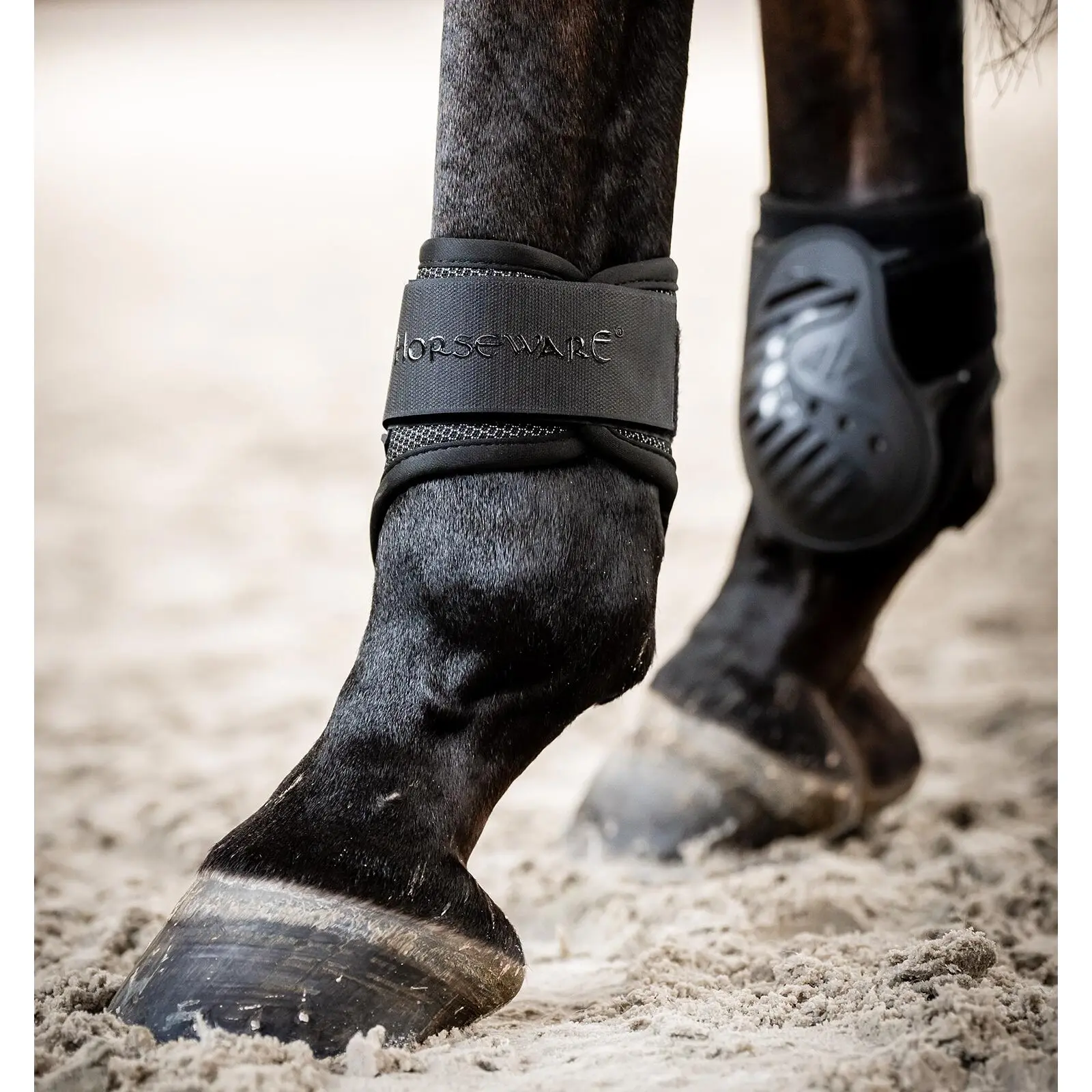 Comparer les prix de Protège-boulets pour cheval Horseware Pro Bamboo
