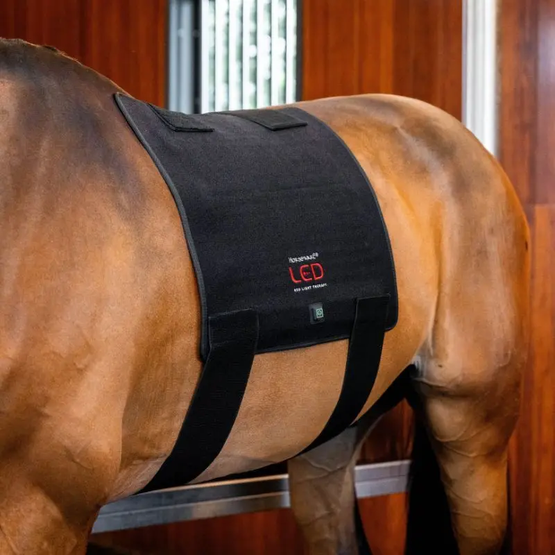 Therapeutische Satteldecke Horseware