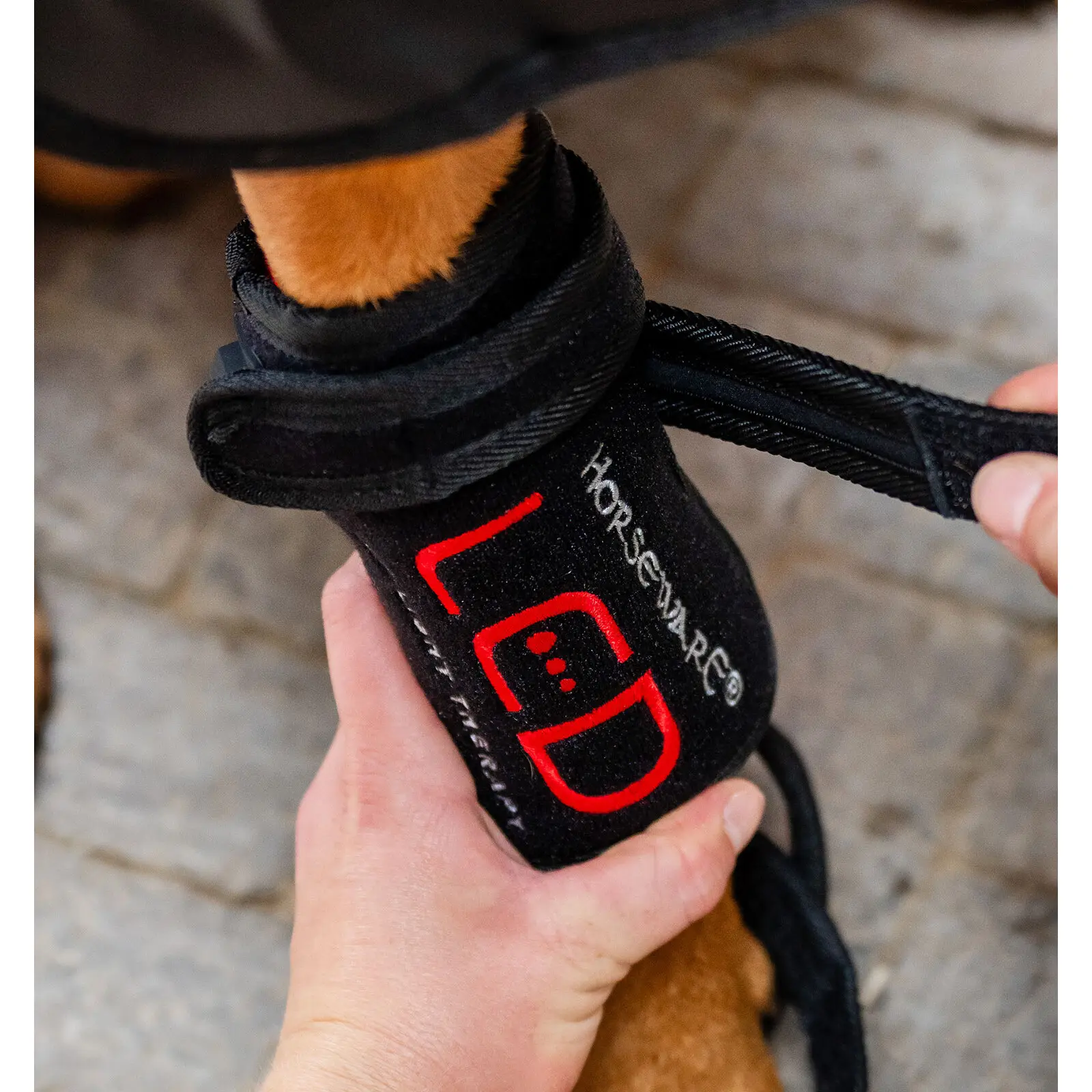 Horseware Noir Led Gaiters For Ponies