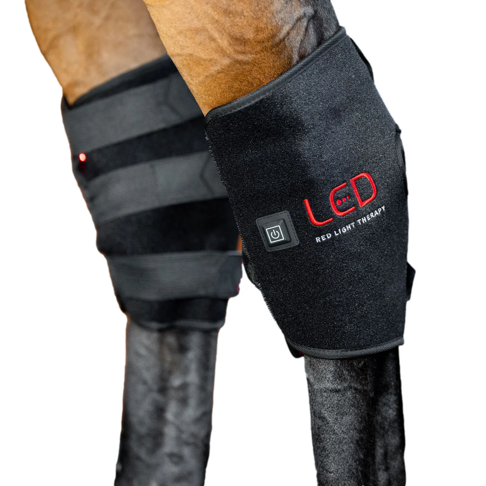 Guêtres pour cheval jarret de luminothérapi Horseware (x2)