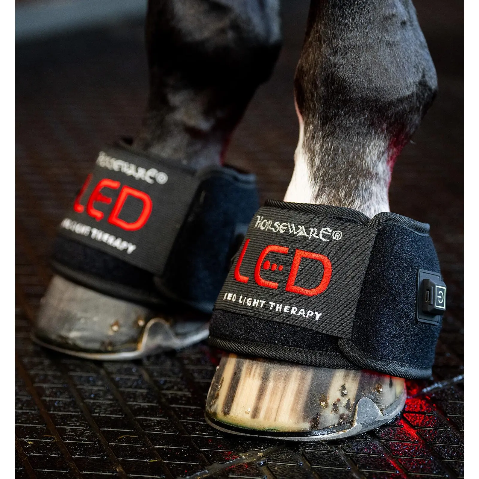 Mini Luminotherapie-Hufglocken für Pferde Horseware