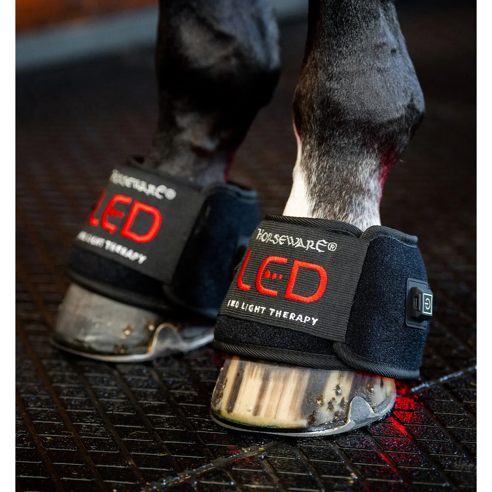 Cloches pour cheval de luminothérapie mini paire Horseware (x2)