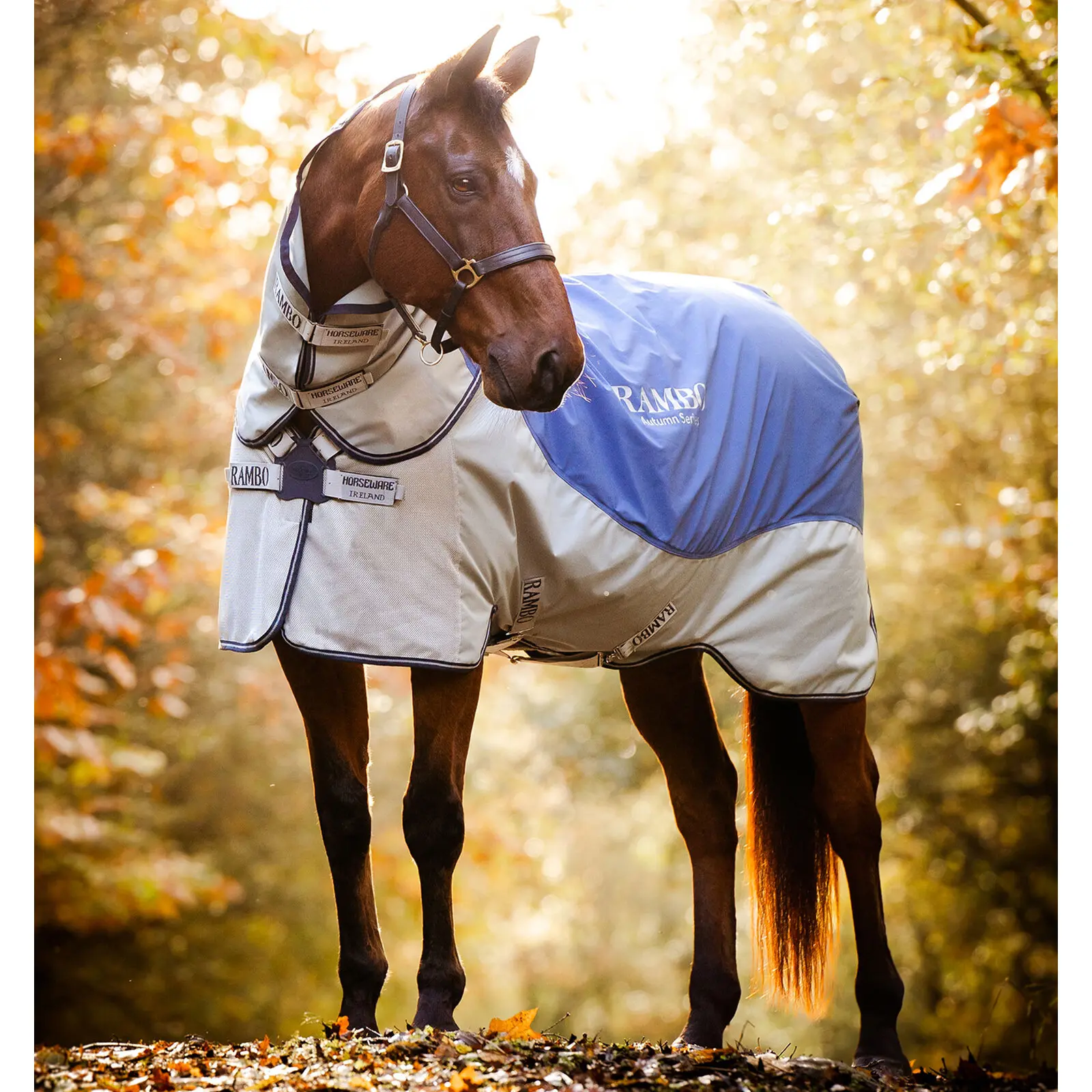 Comparer les prix de Couverture d'extérieur imperméable pour cheval Horseware Rambo Autumn Series 100g