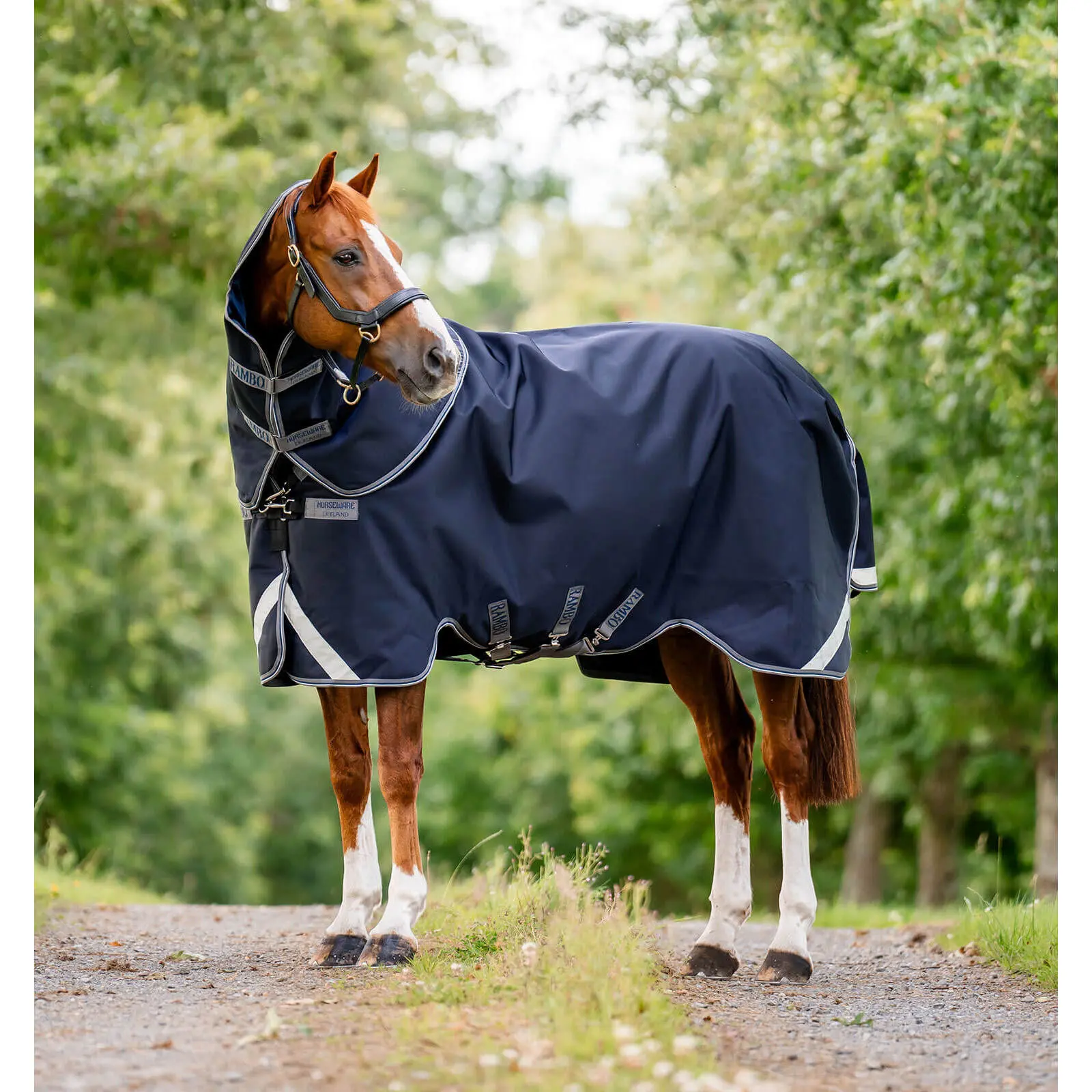 Outdoor-Decke für Pferde mit Halsabdeckung Horseware Rambo 1680D Plus Turnout 0g
