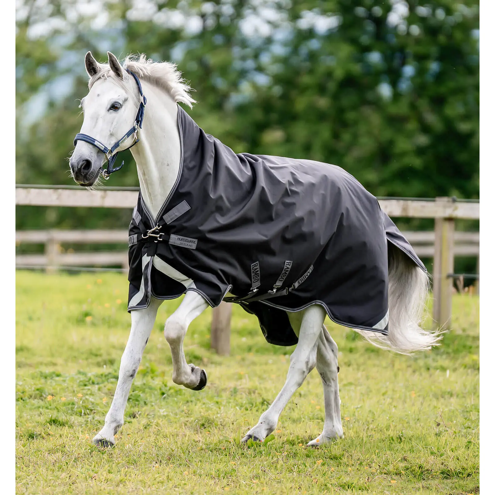 Couverture d'extérieur imperméable pour cheval Horseware Rambo 1620D Wug Turnout 400g