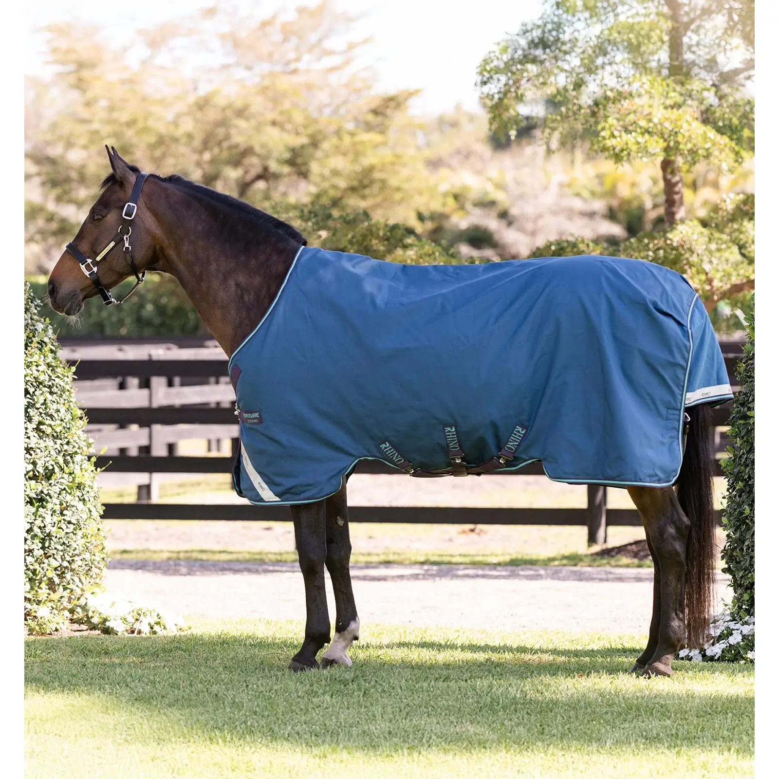 Coperta da paddock per cavalli Horseware Rhino 100g