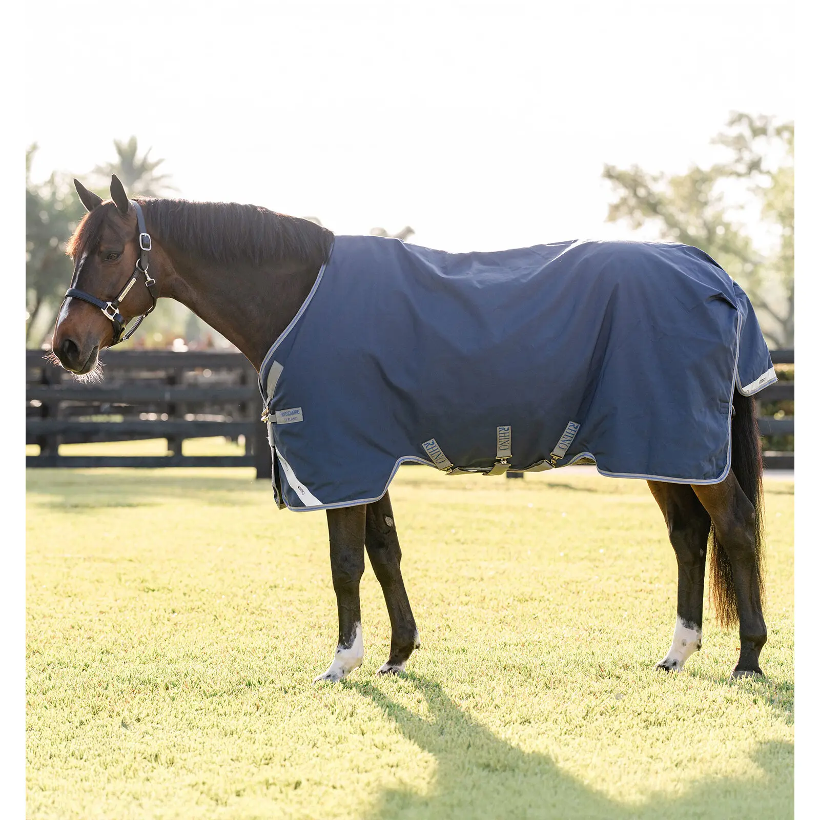 Comparer les prix de Couverture d'extérieur pour cheval Horseware Rhino 100g