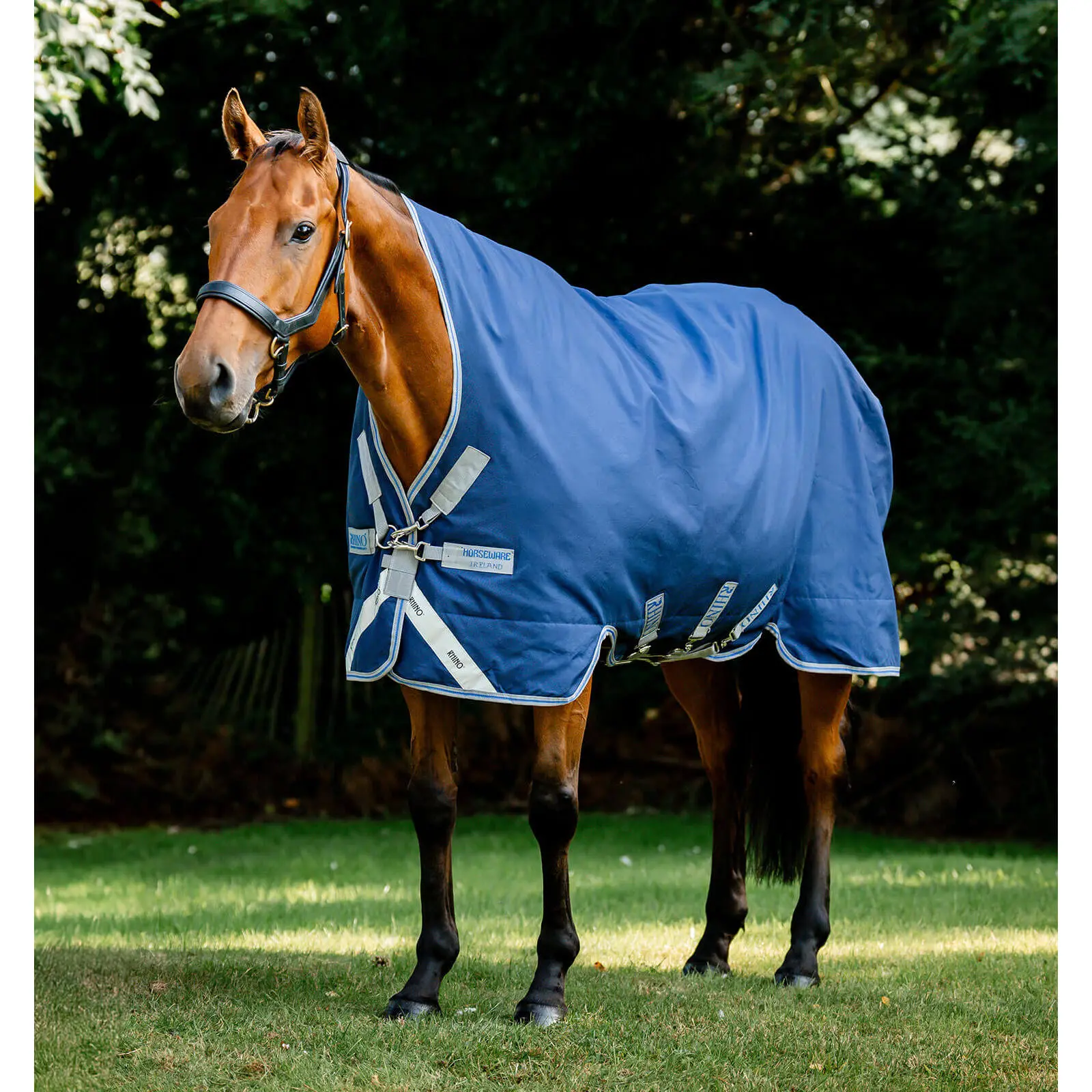 Meilleurs prix pour Couverture d'extérieur pour cheval Horseware Rhino Wug Turnout Vl 450g