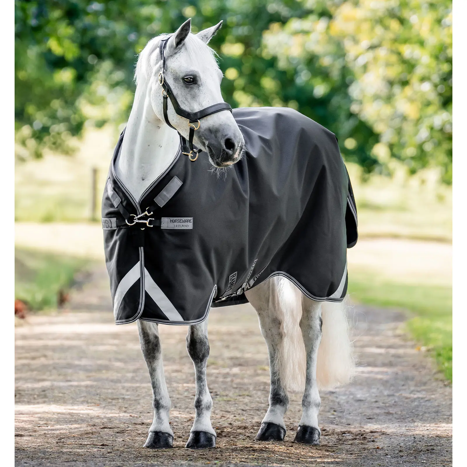 Meilleurs prix pour Couverture d'extérieur pour cheval Horseware Rambo 1680D Plus 0g