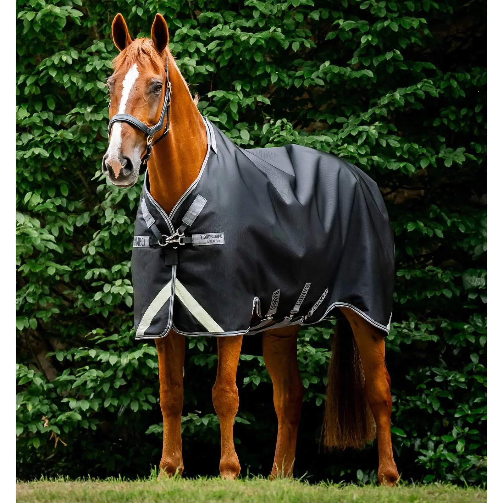 Meilleurs prix pour Couverture d'extérieur pour cheval Horseware Rambo 1680D Plus 50g