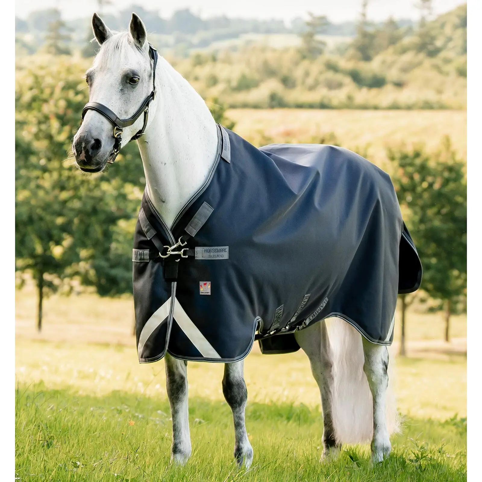 Meilleurs prix pour Couverture d'extérieur pour cheval Horseware Rambo 1680D 250g