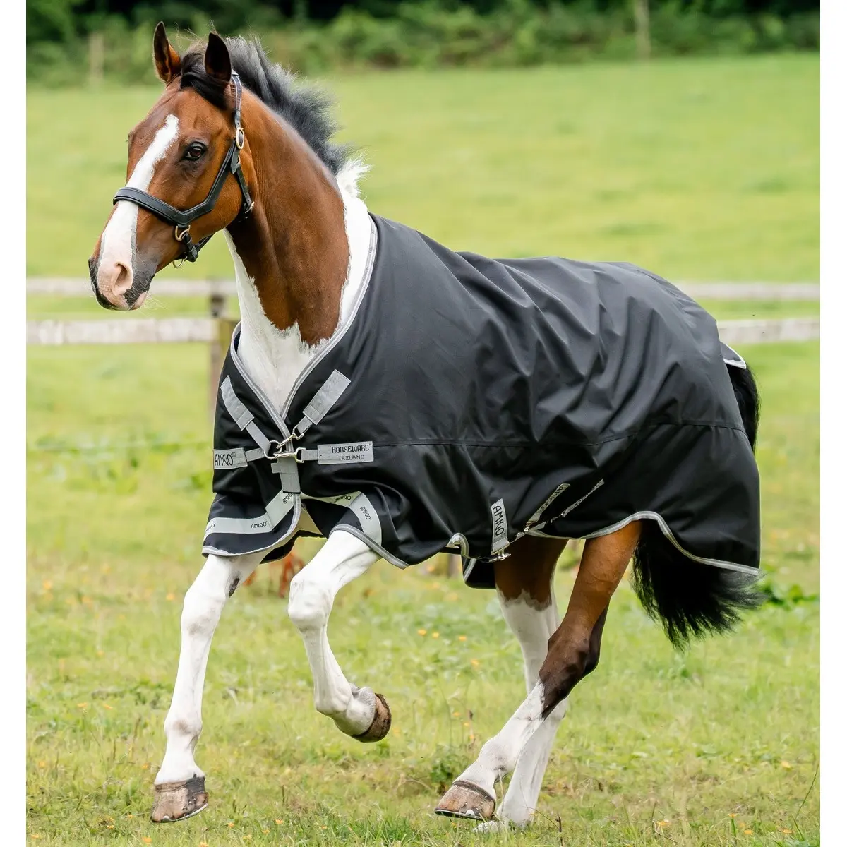 Meilleurs prix pour Couverture d'extérieur pour cheval Horseware Amigo 1200D 0g