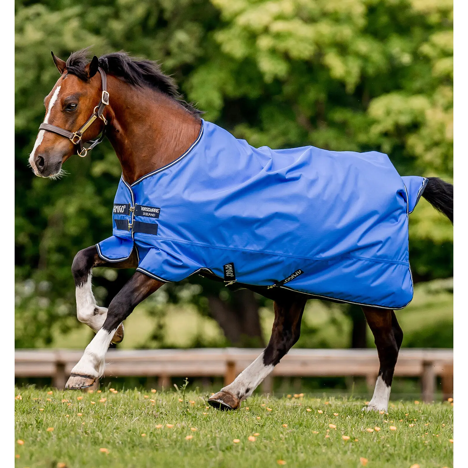 Horseware Bleu Outdoor Horse Blanket Amigo Hero Ripstop Lite 0G